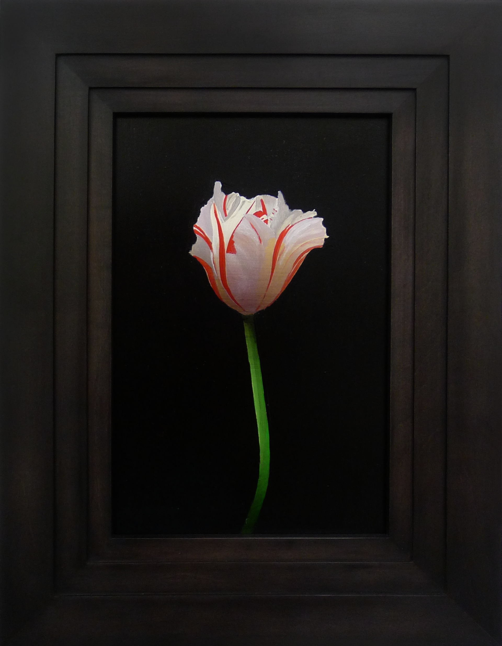 White and Red Tulip by Michael Gregory