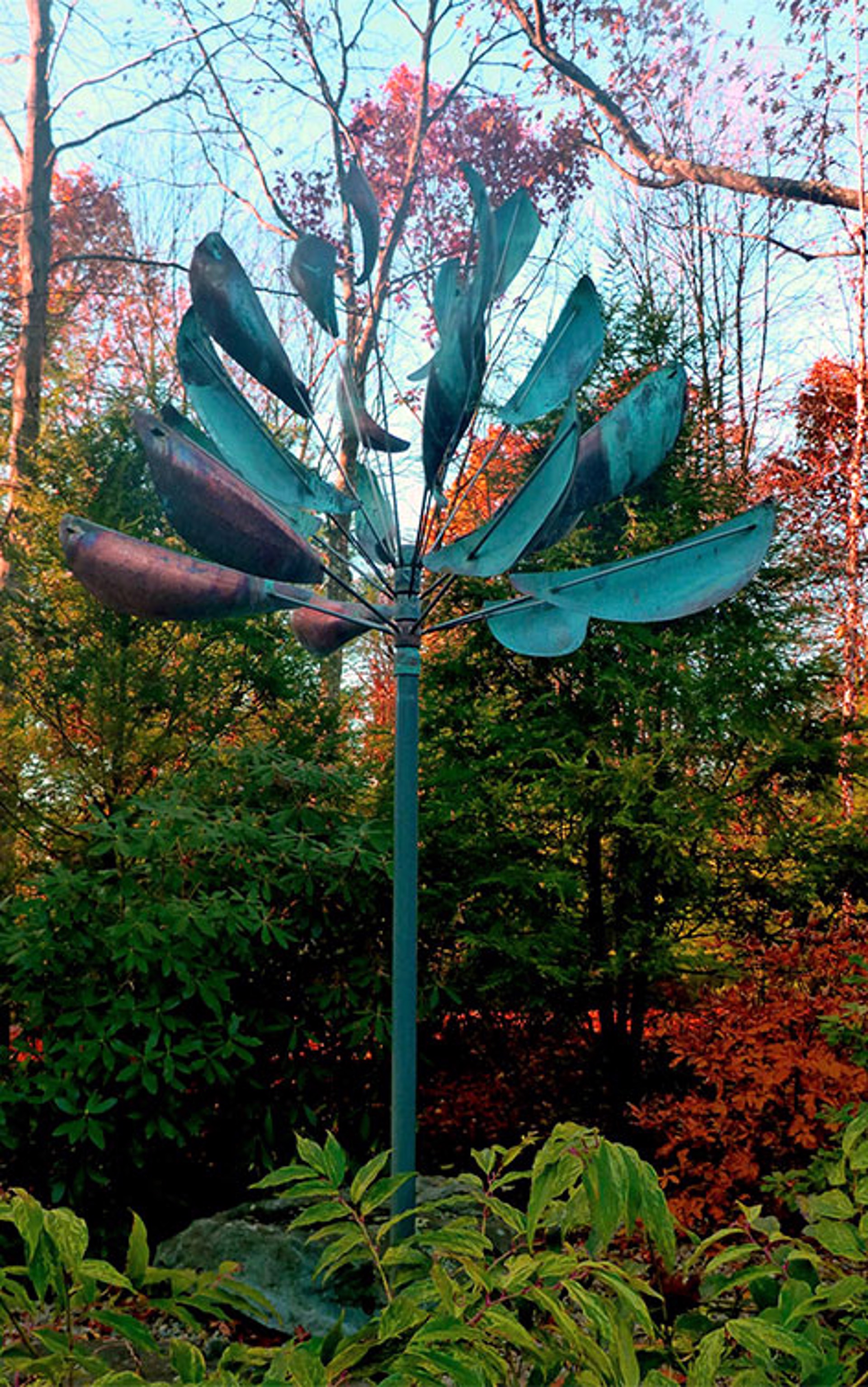 Agave by Lyman Whitaker