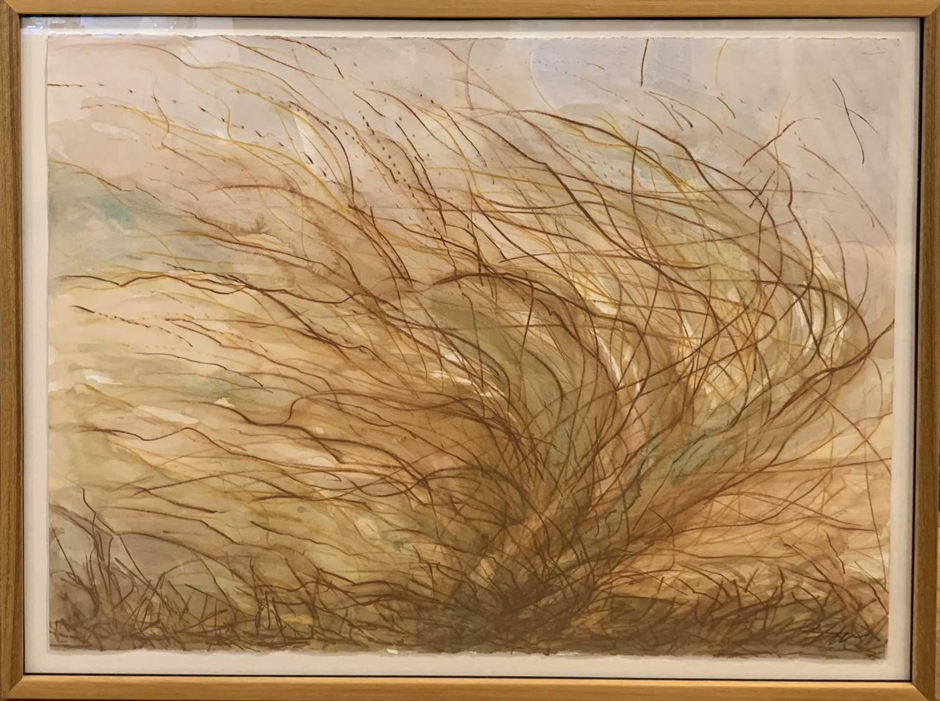 Sea Grass #5 by Fritzi Huber