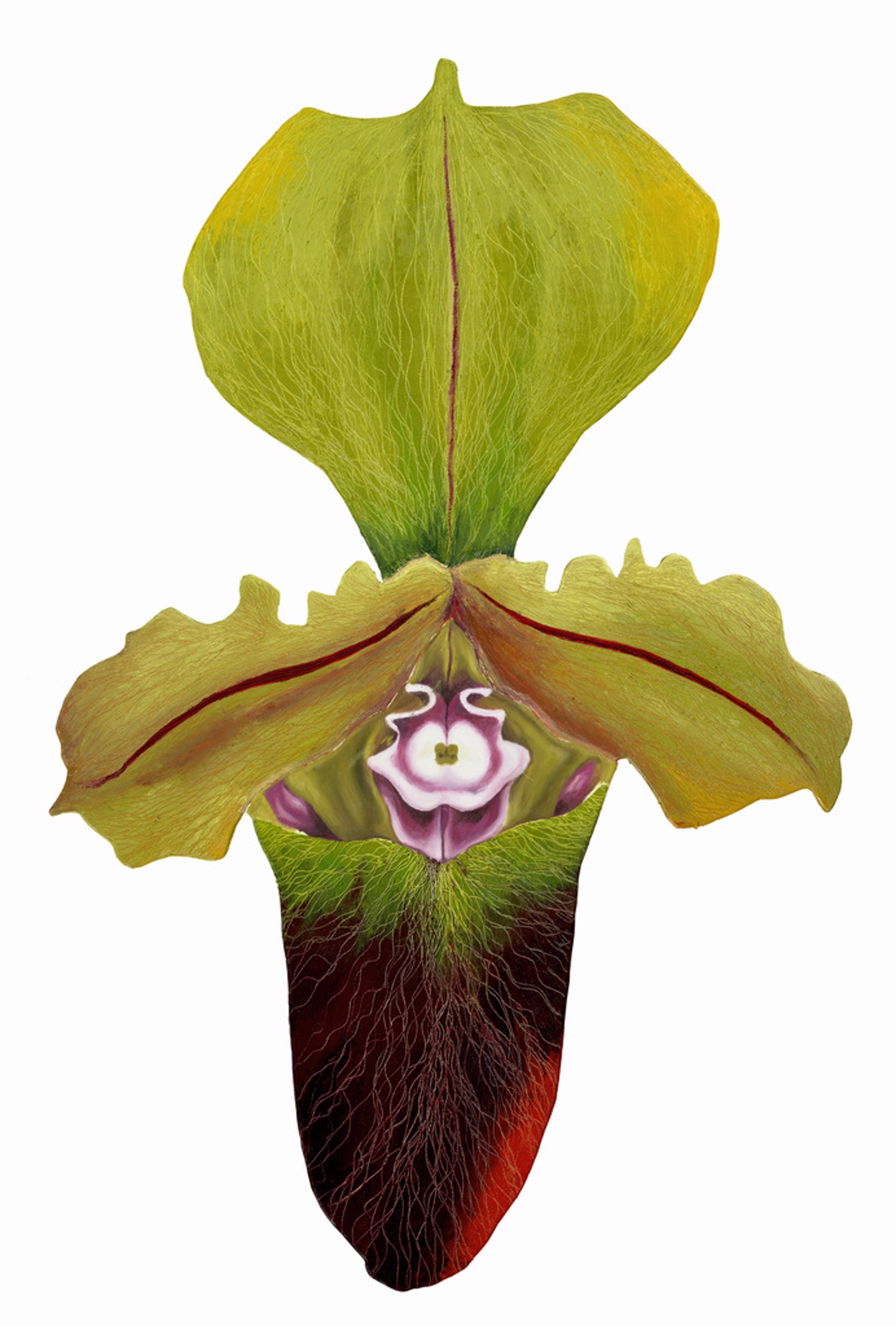 Lady Slipper 8 by Leigh Wen