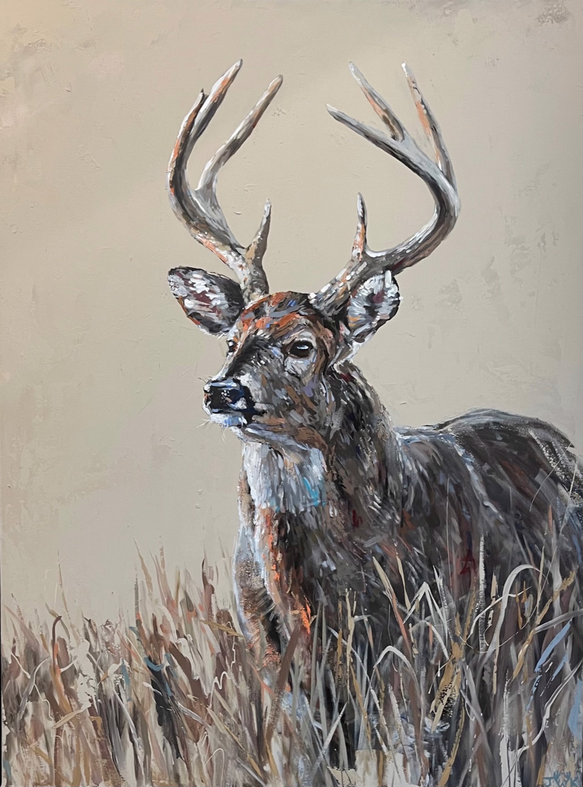 Highlands Deer by Jared Knox