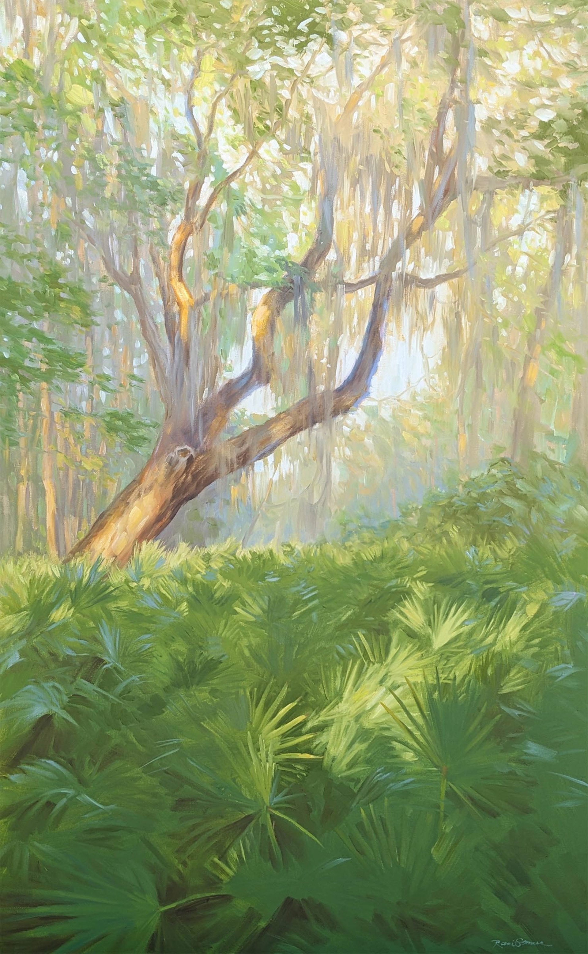 Palmetto Thicket by Rani Garner