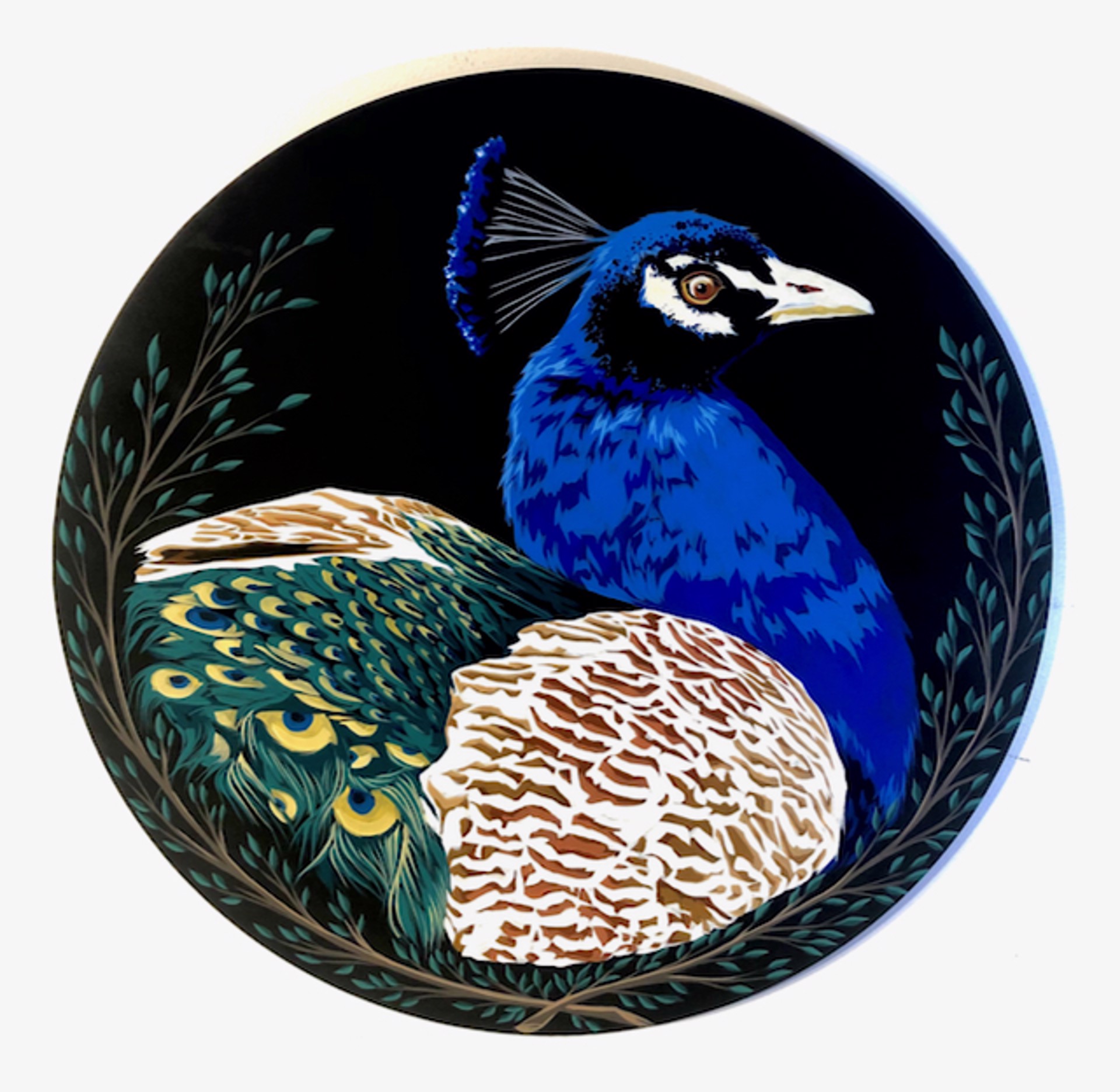 Peacock by HEATHER MILLAR