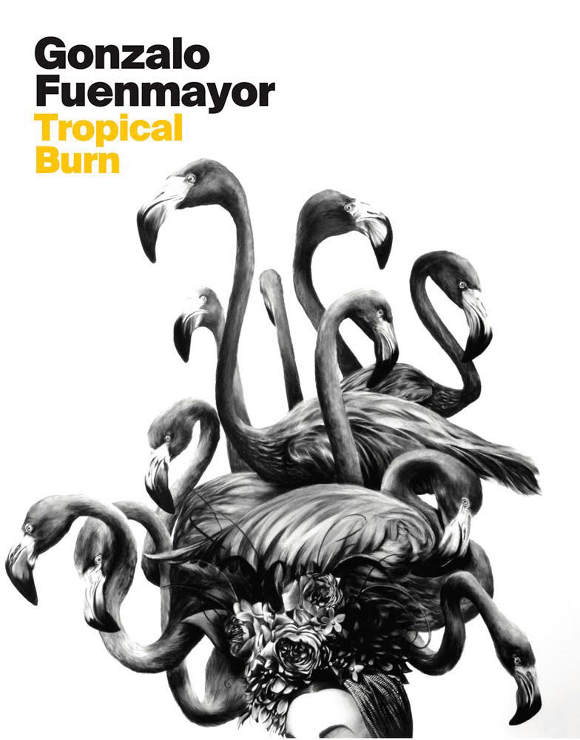 Gonzalo Fuenmayor: Tropical Burn by Gonzalo Fuenmayor