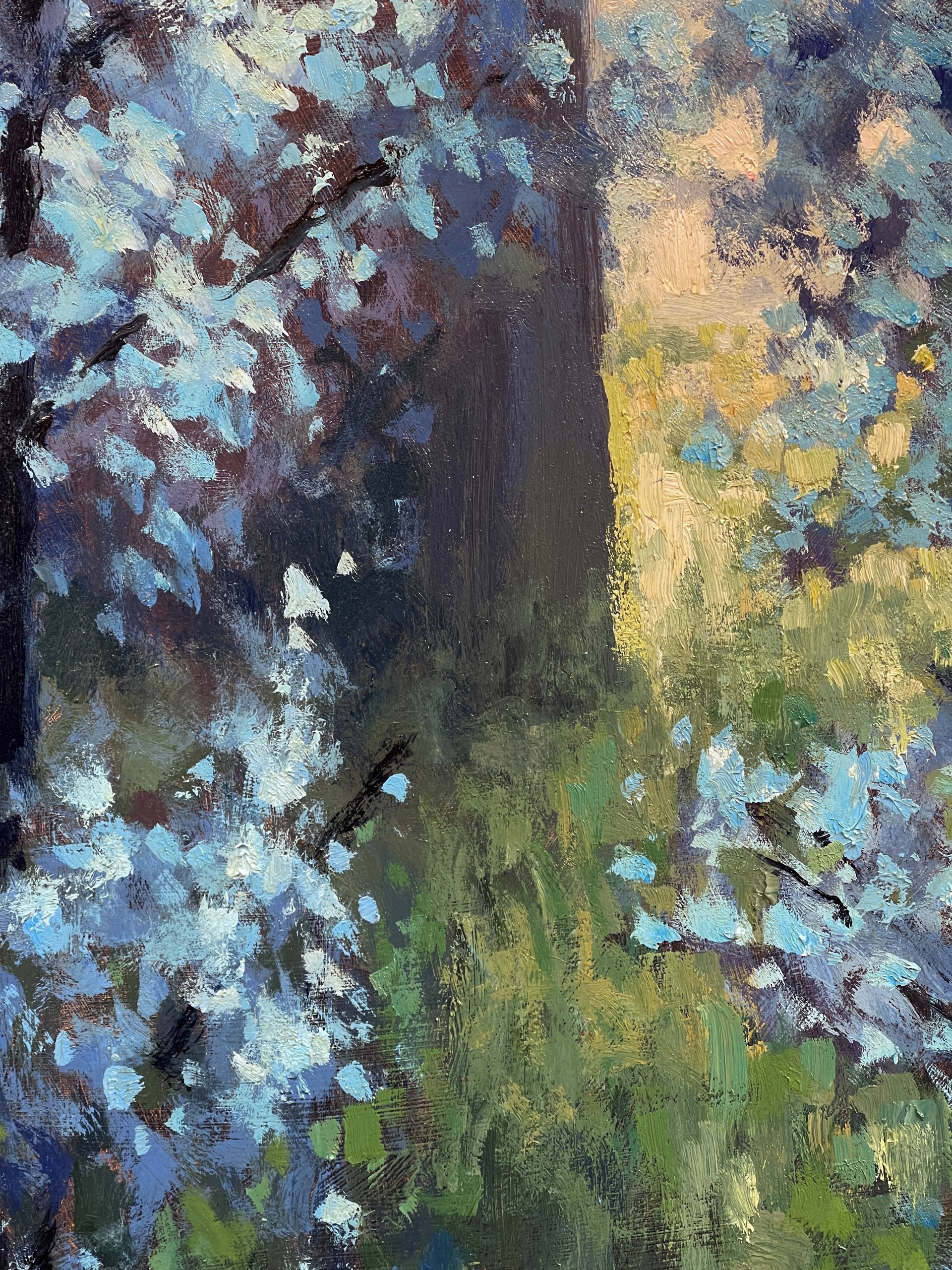 Spring Blossoms, 2019 by Seth Winegar