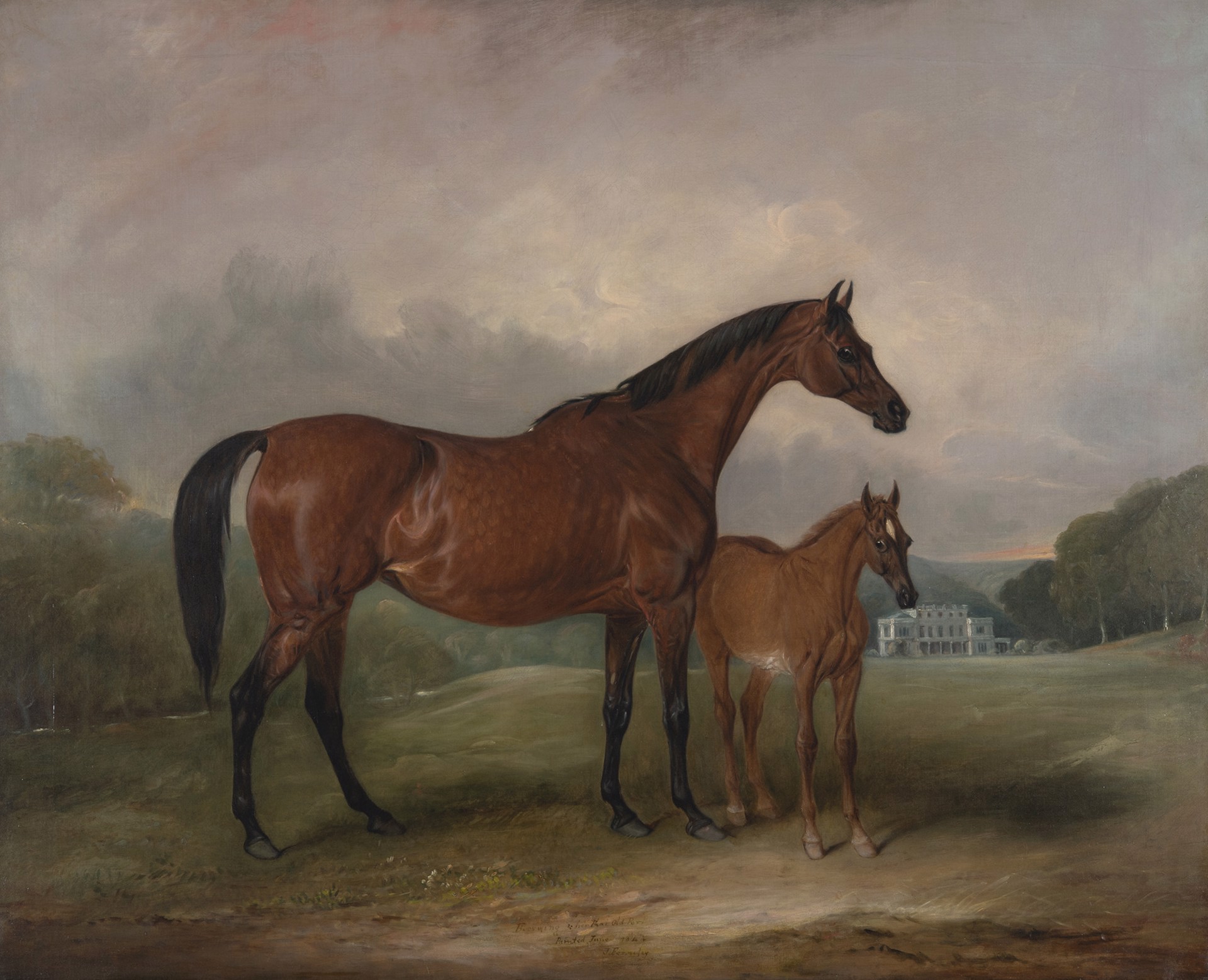 Beeswing and Her Foal Old Port by John E. Ferneley, Sr.