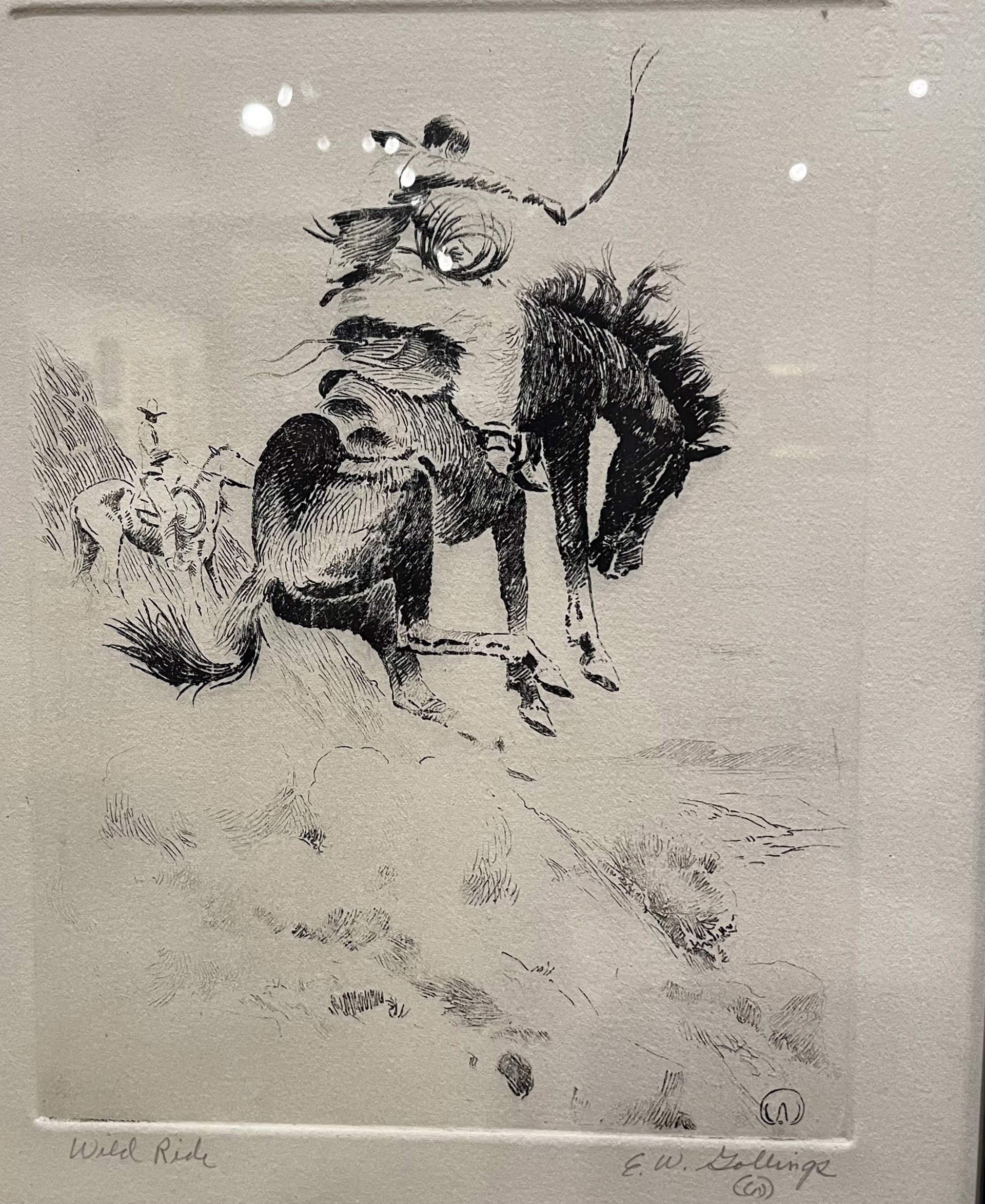 Wild Ride by William (Bill) Gollings