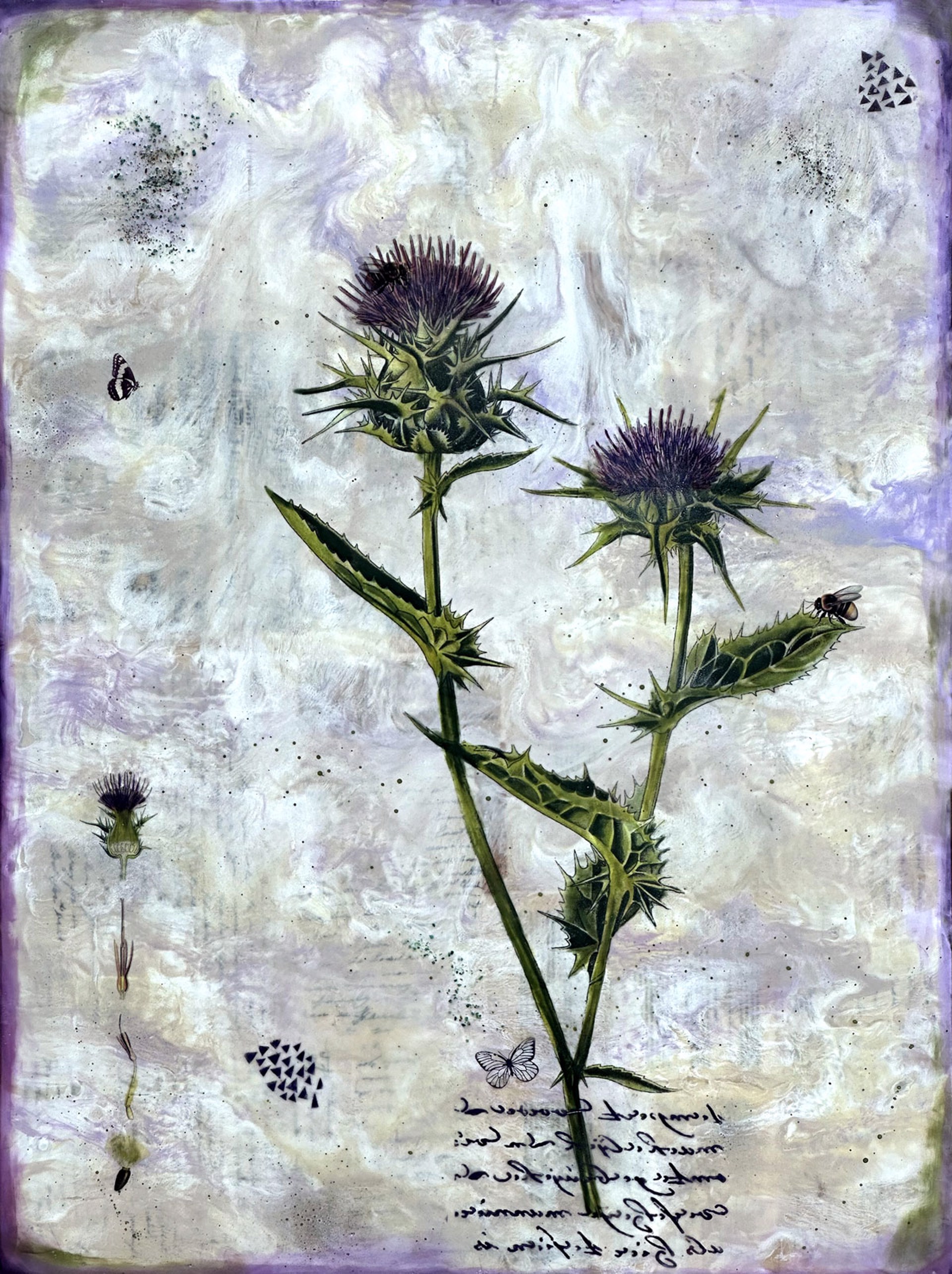 Thistle by Shannon Amidon