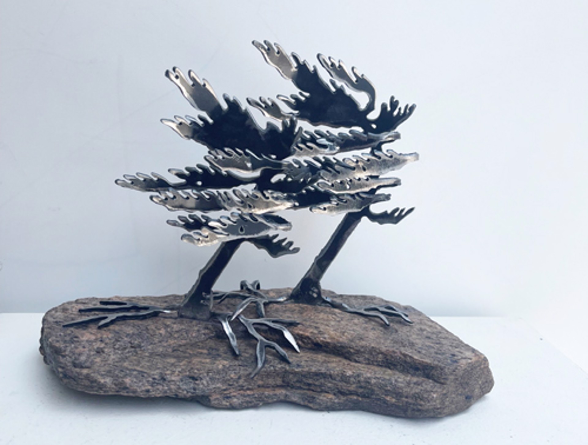 Two Windswept Pine 659762 by Cathy Mark