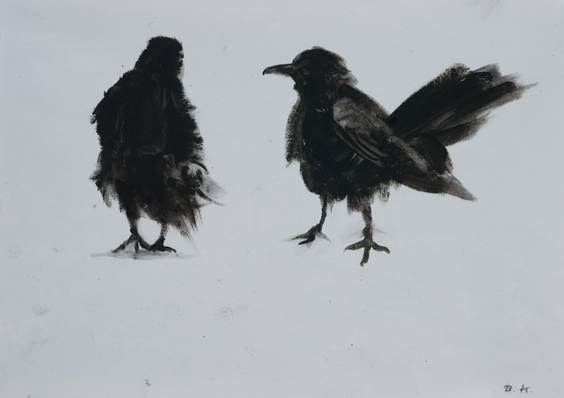 Raven Series by Bernhard Kilchmann