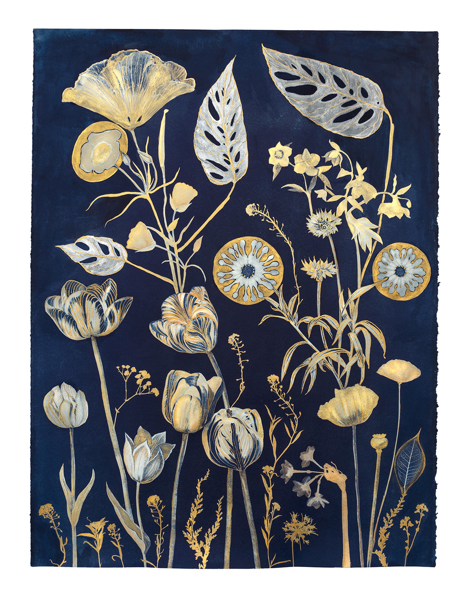 Cyanotype Painting (Gold Tulips, Leaves, etc.) by Julia Whitney Barnes