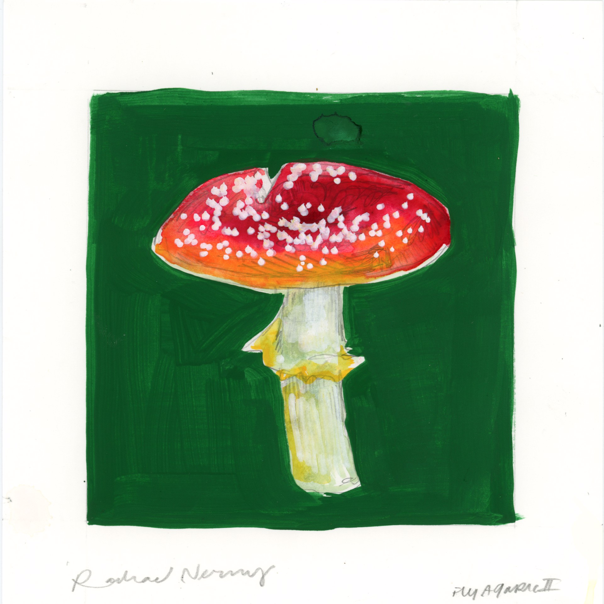 Fly Agaric II by Rachael Nerney