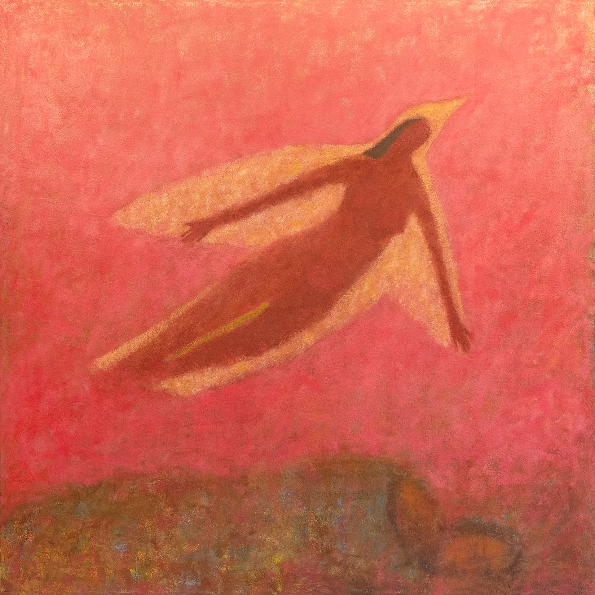 Dreaming I Am A Bird by Ruth Hunter