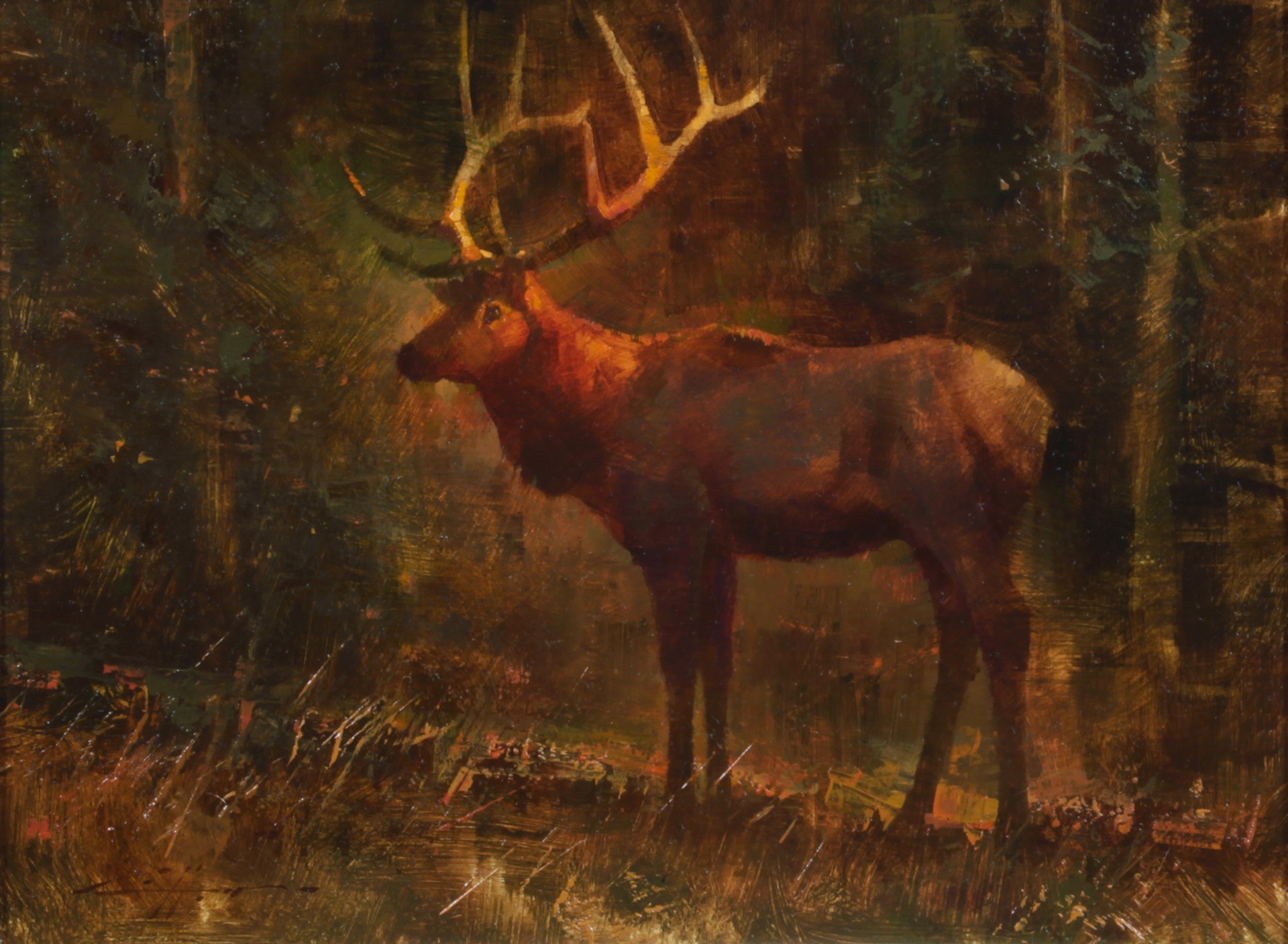 Prince of the Forest by Brent Cotton