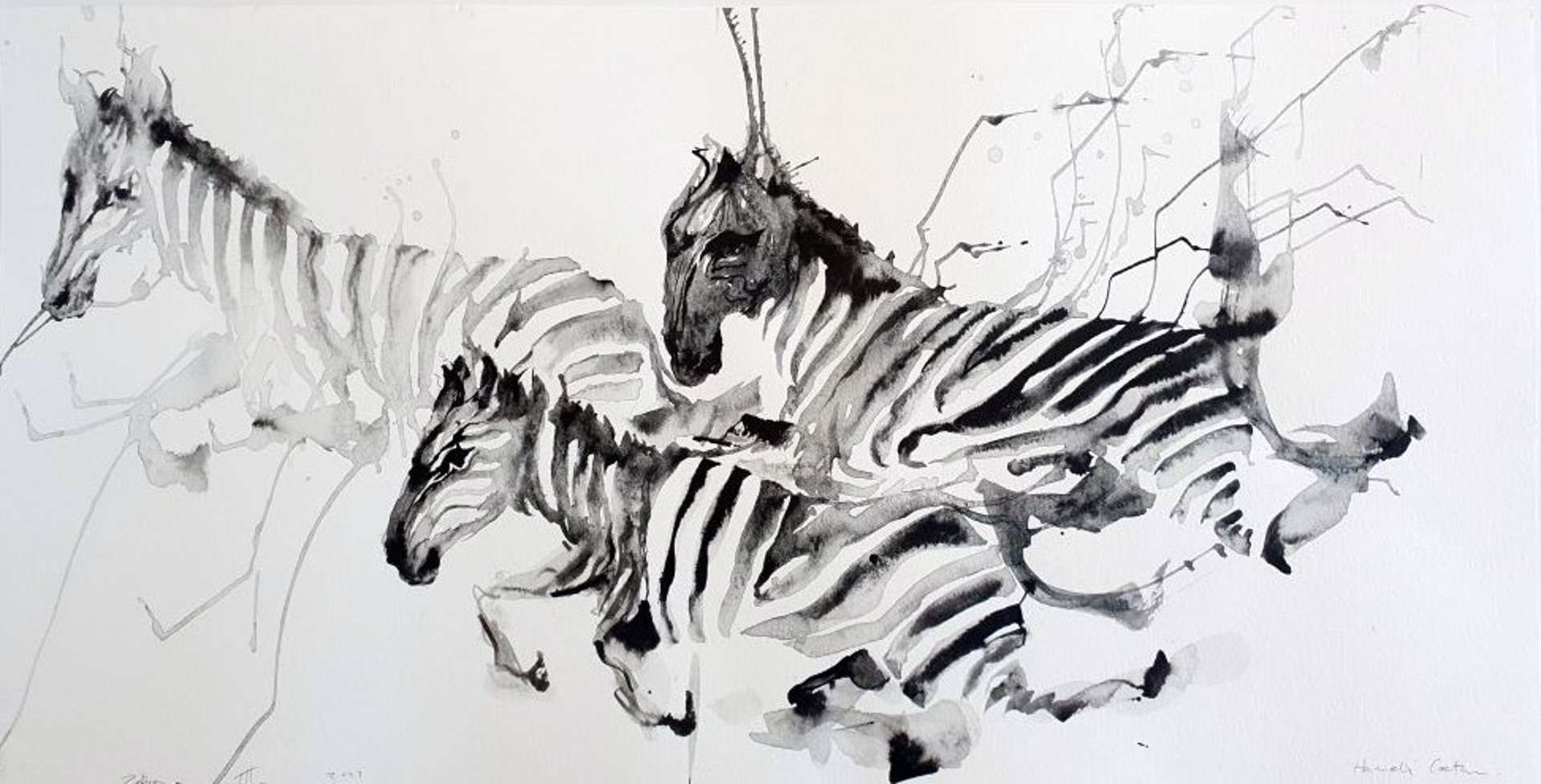 Eco Queer Creature Series : Zebra III by Hannelie Coetzee