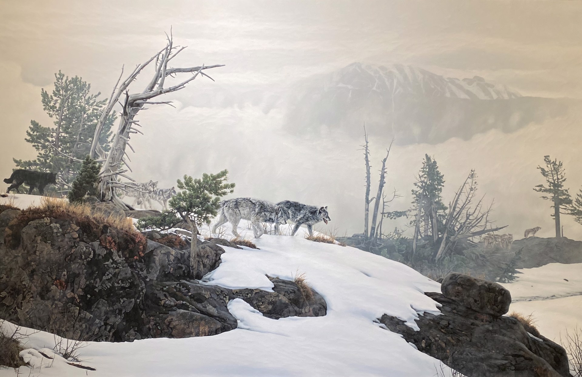 ALONG THE RIDGE - WOLVES by Rod Frederick