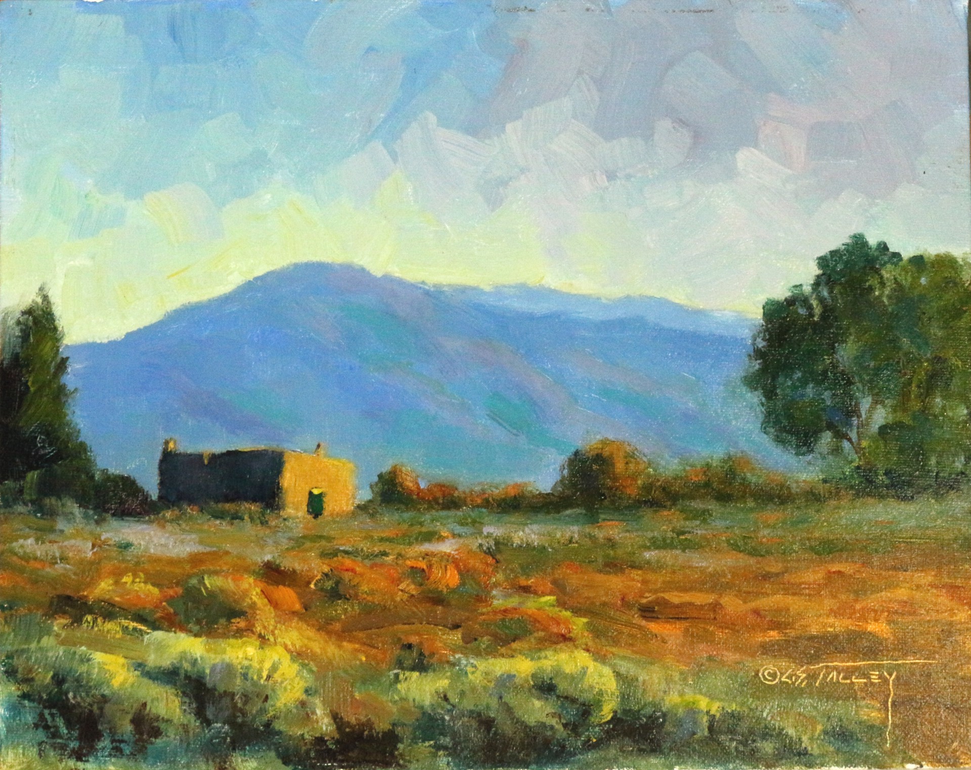 New Mexico Morning by C. S. Talley