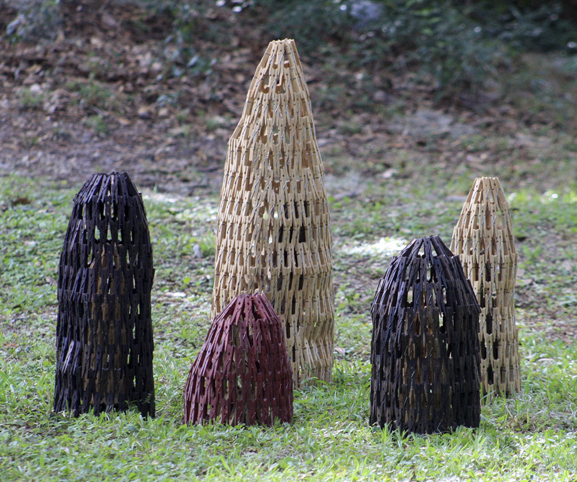 Cypress Knees (5 pieces) by Gerry Stecca