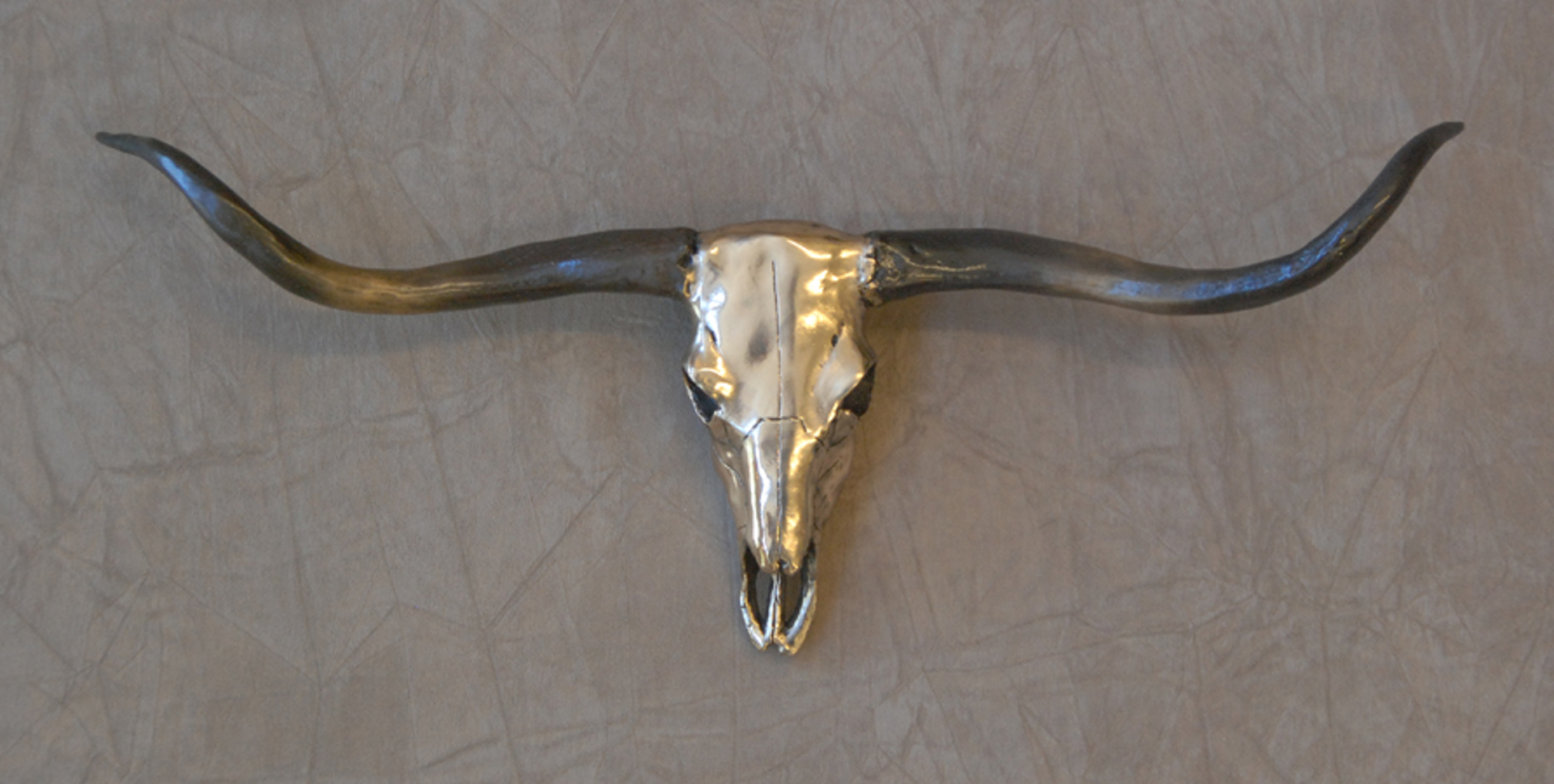Longhorn Skull by Jim Eppler