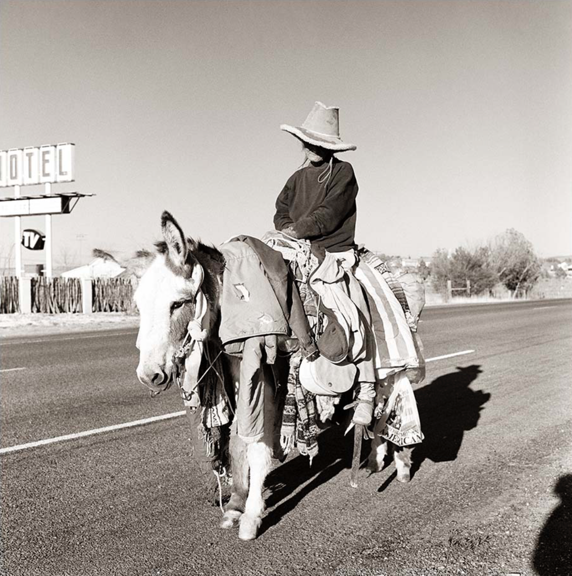 Burro Lady, Judy Magers by James H. Evans