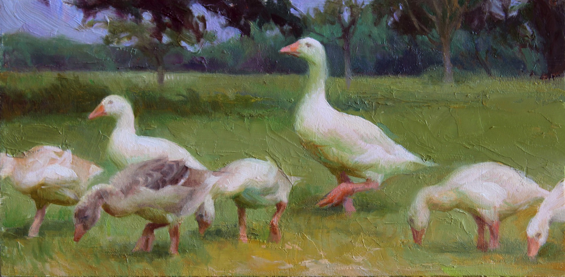 Oxford Geese by Adrienne Stein