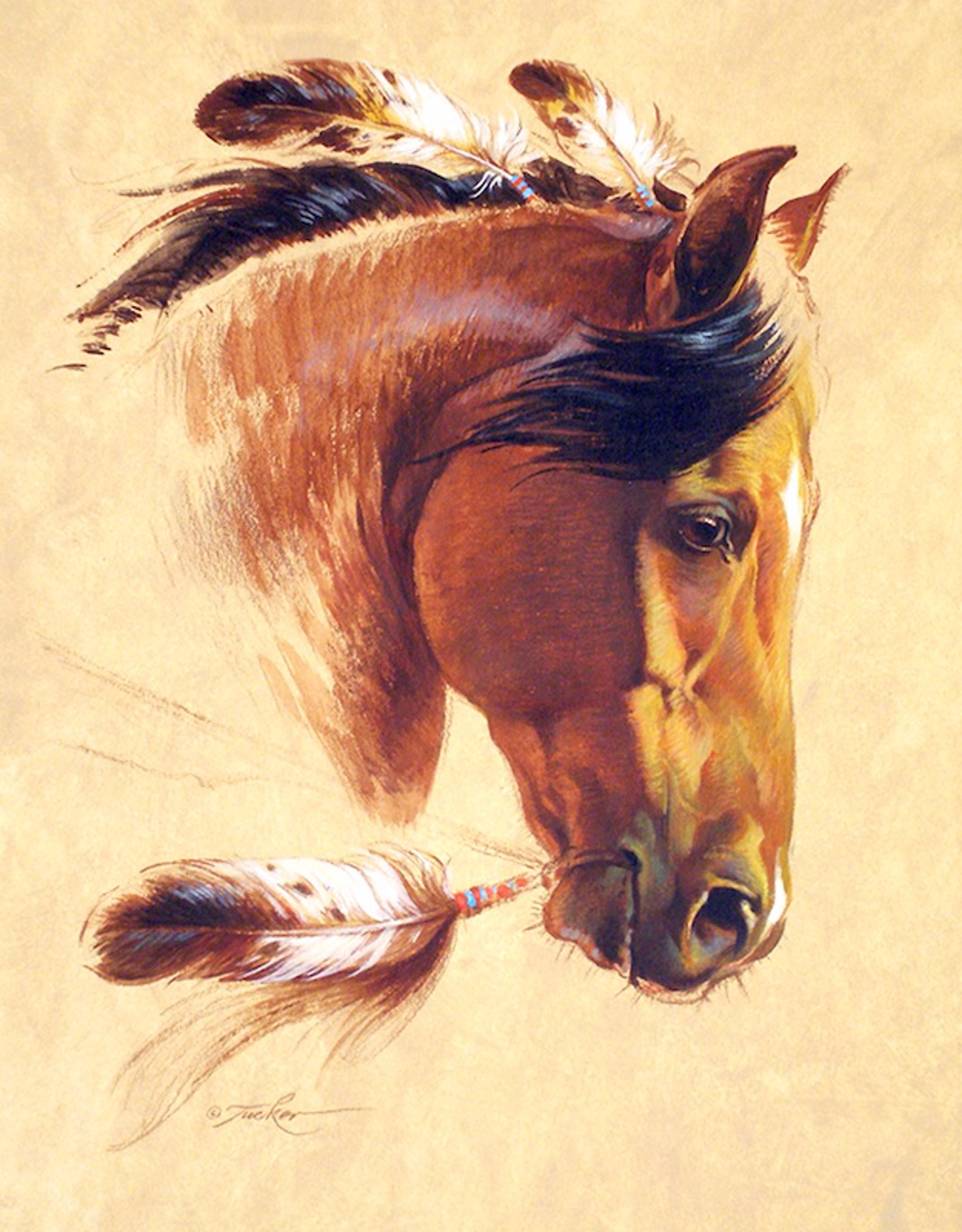 Bay War Horse by Ezra Tucker