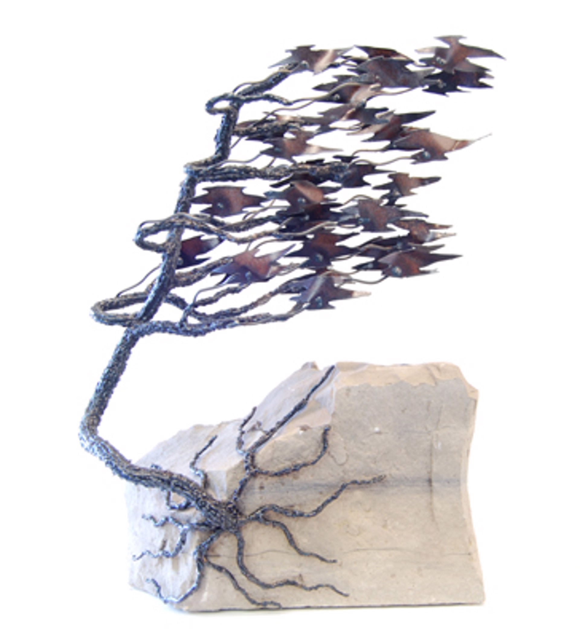 Windswept Tree in a Rock 13-094 by Floyd Elzinga