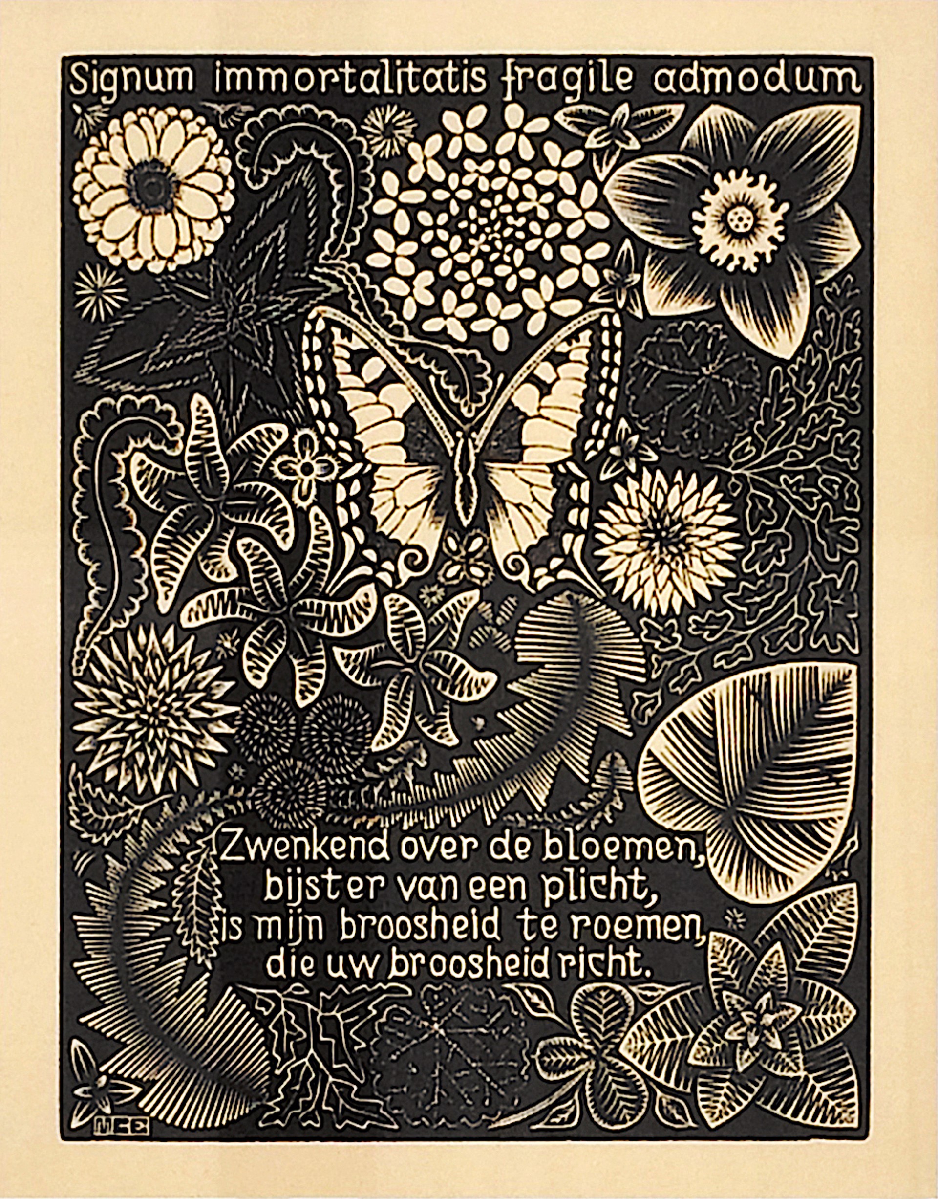 Emblemata - Butterfly and Flowers by M.C. Escher