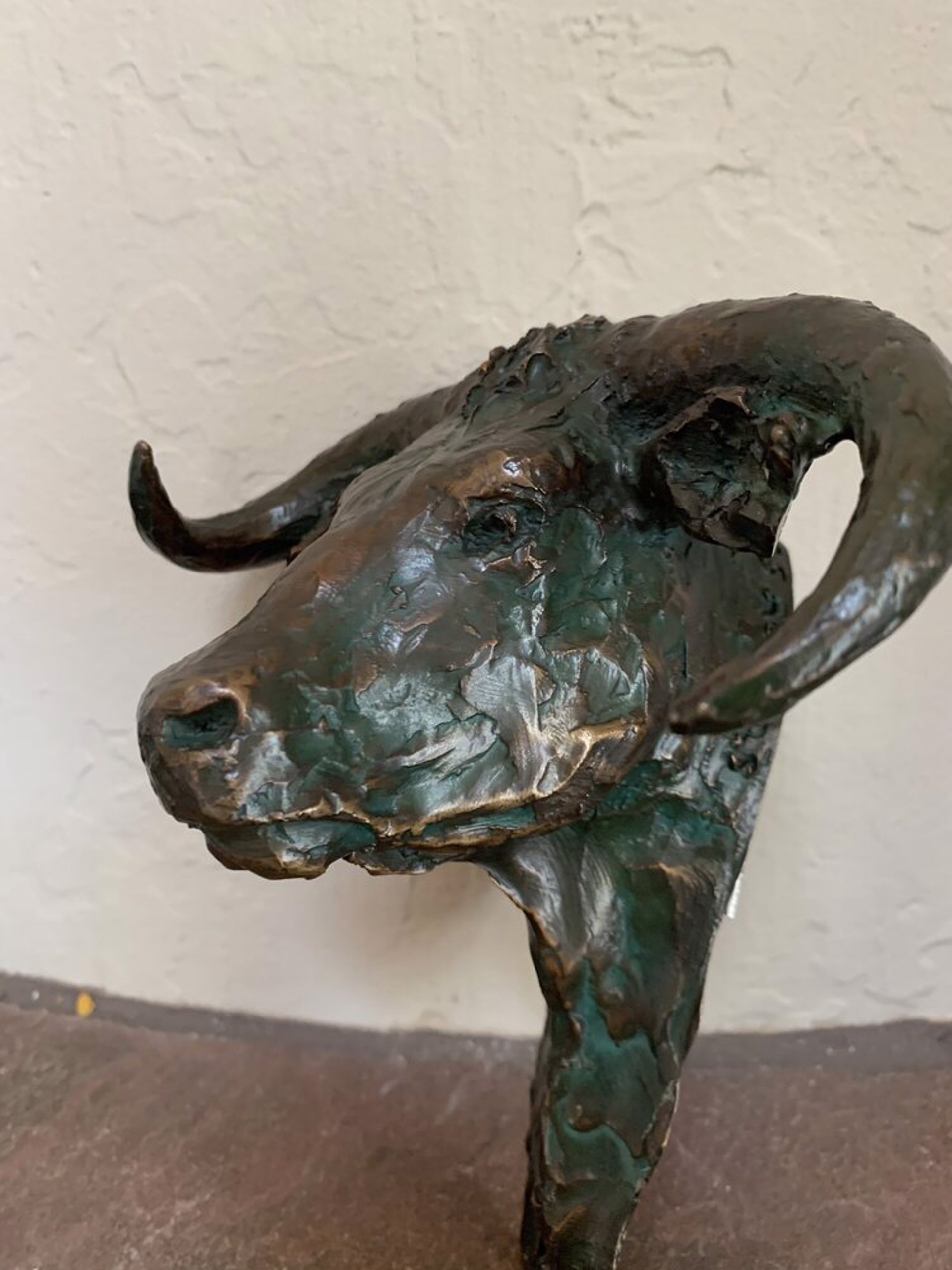 Steer Head (Curved Horns) Wall Mounted by Scott Rogers