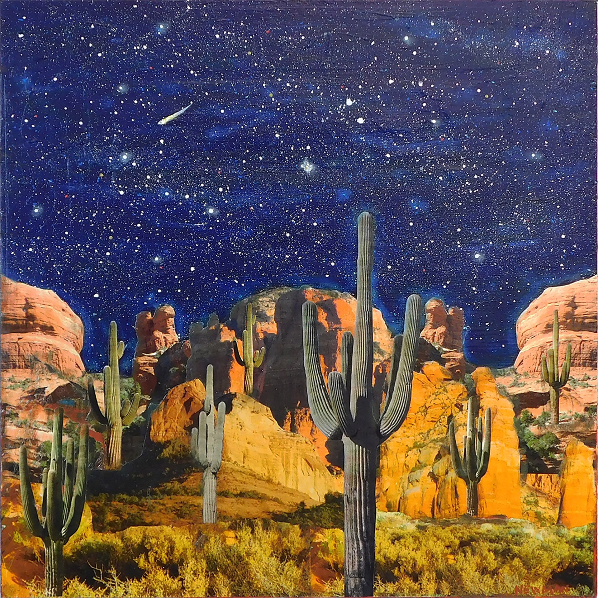 Saguaros & Night Sky by Dave Newman