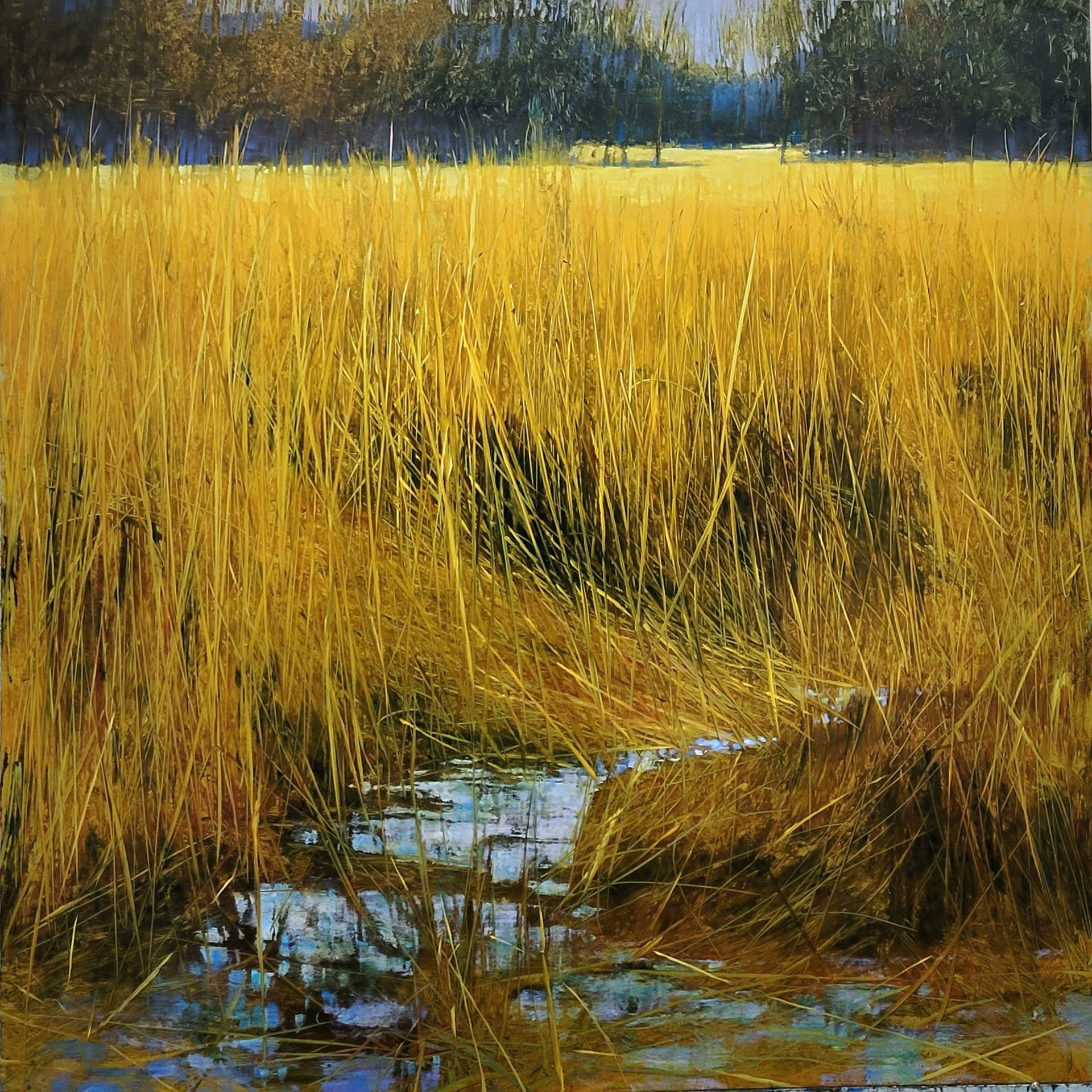 Golden Reeds by David Dunlop