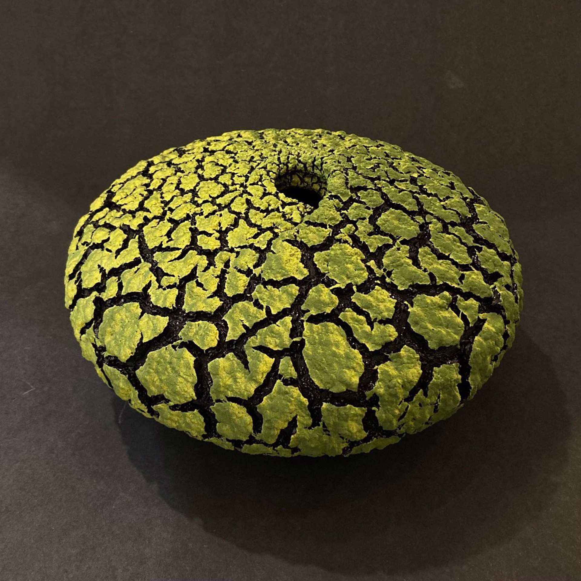 Lichen Vessel - Lime Green 141 by Randy O' Brien