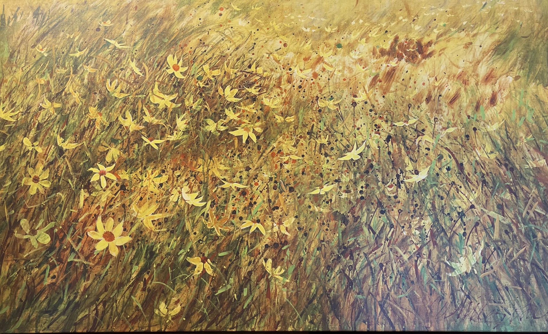 Field of Susans by William A. Whiteside
