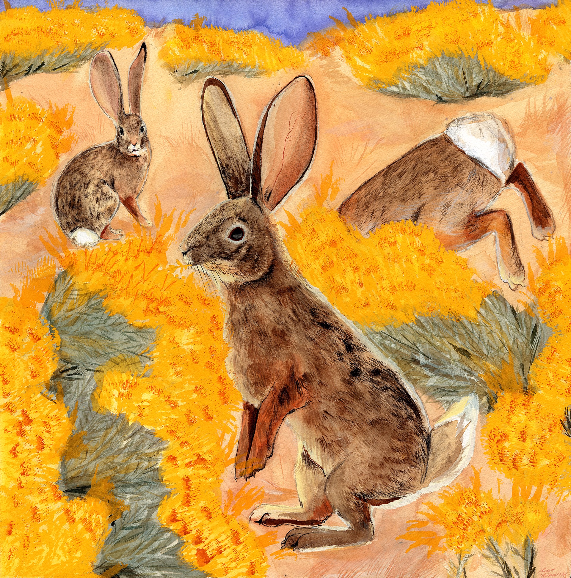 Rabbit Brush/Bun Brush by Kat Kinnick