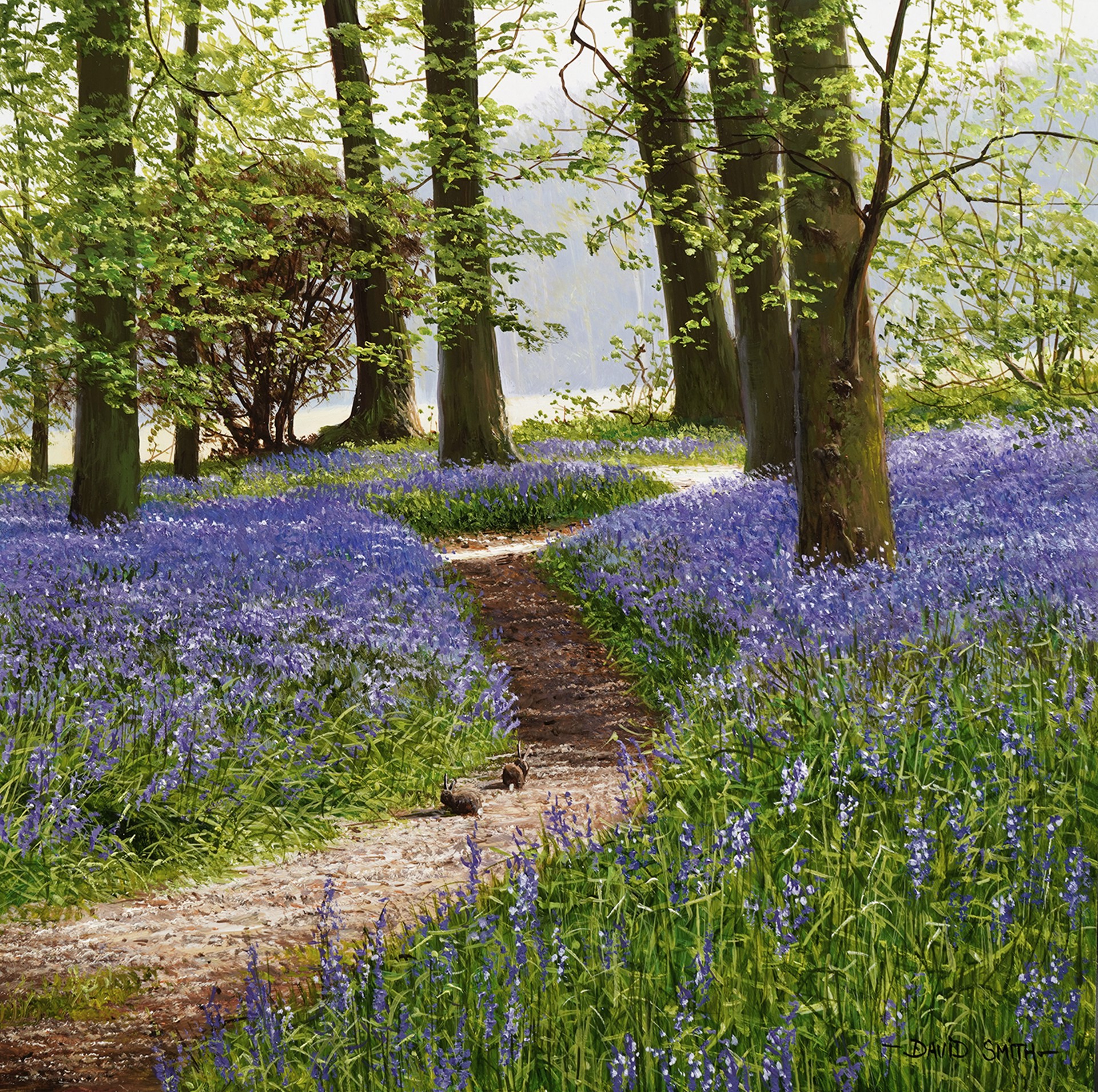 Bluebell Carpet by David Smith