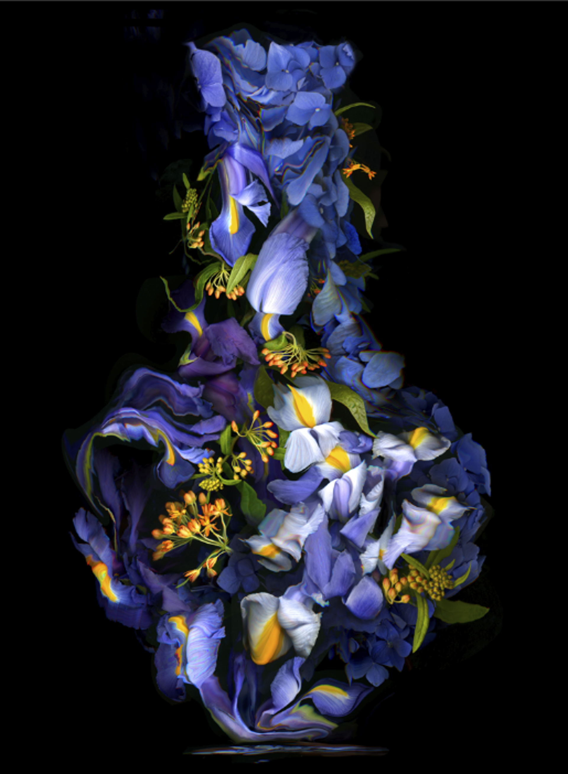 Iris Vase by Kate Blacklock