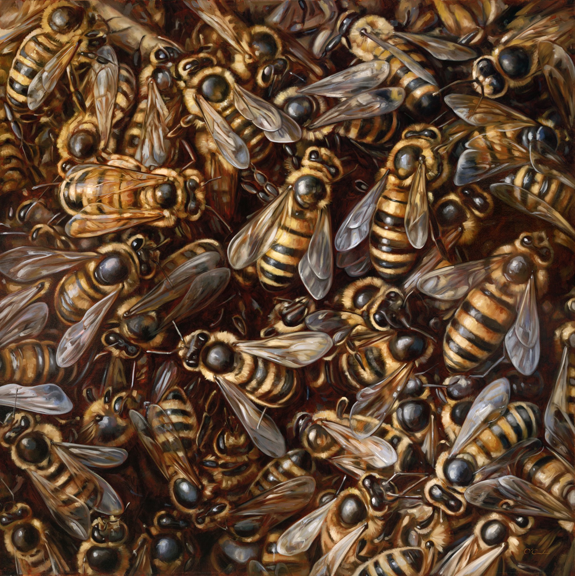 A Bee Sea by Jennifer O'Cualain