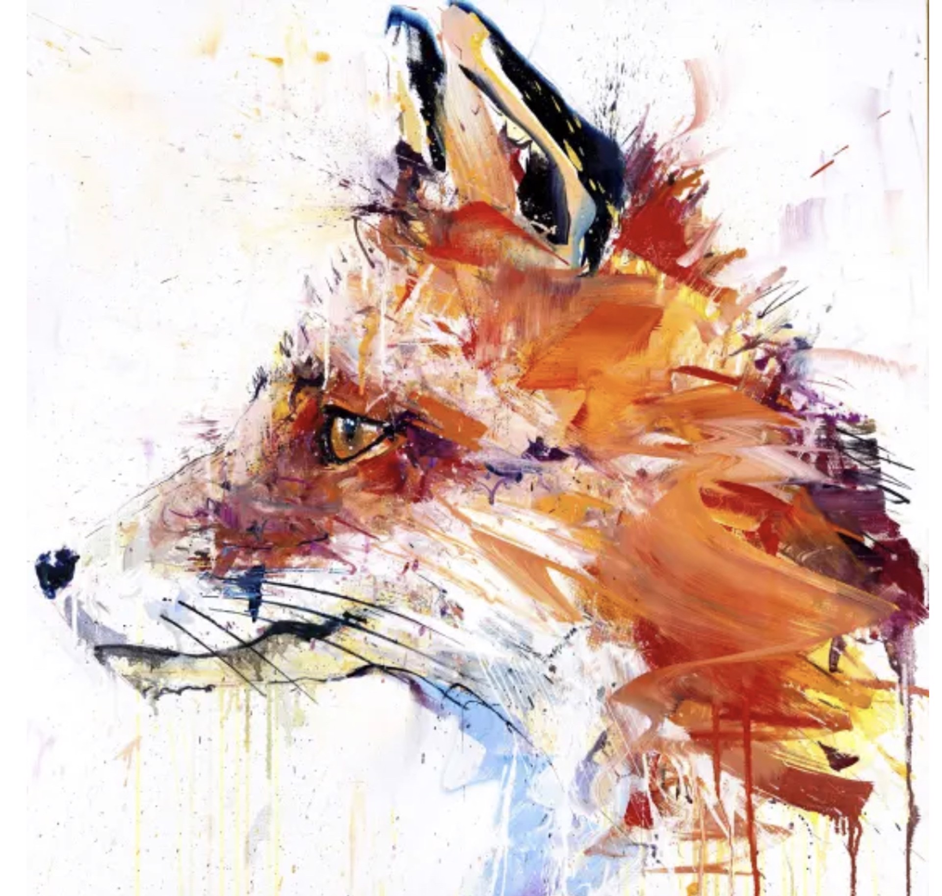 Fox by Dave White