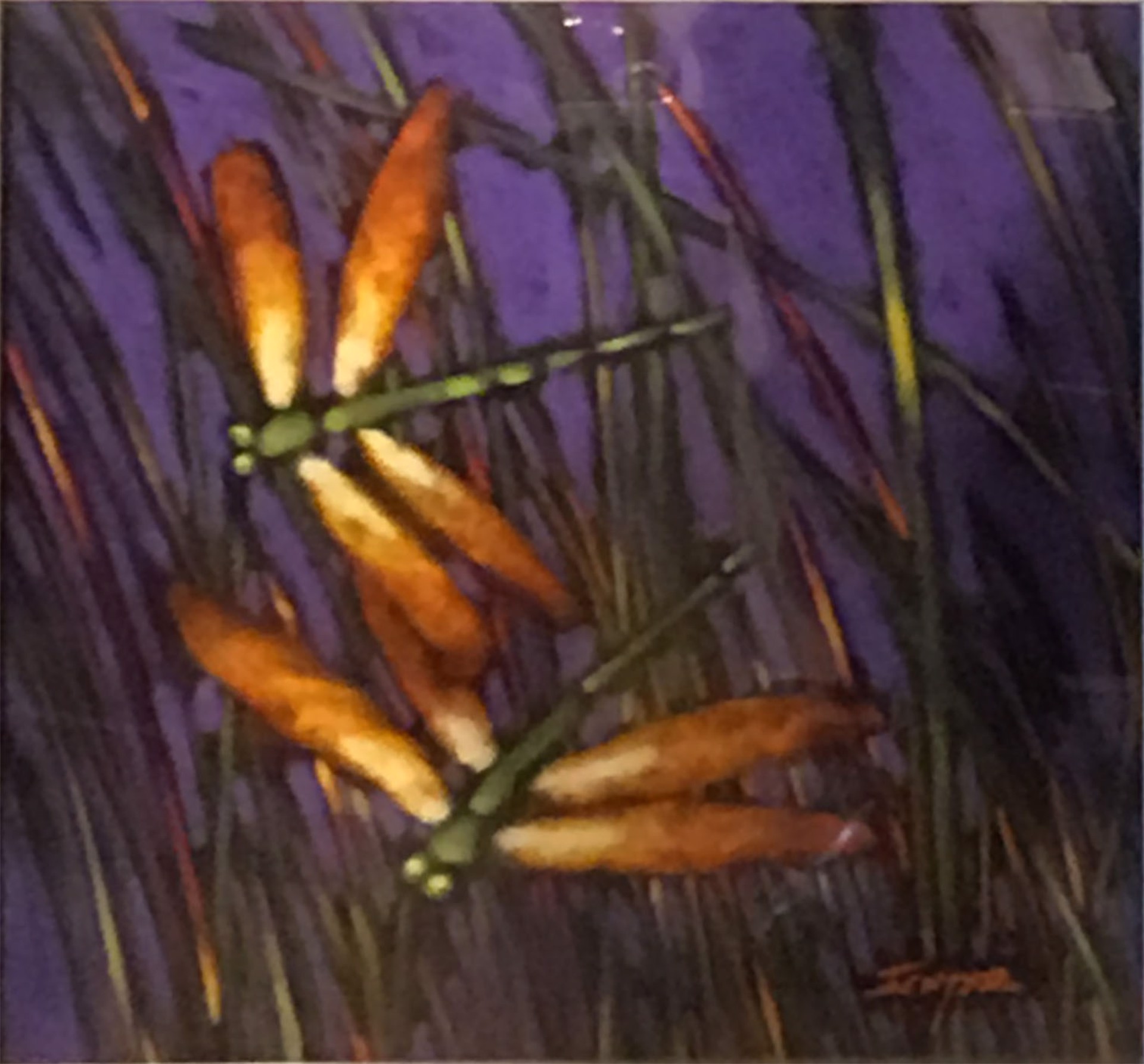 Two Dragonflies on Purple by Robert Ichter