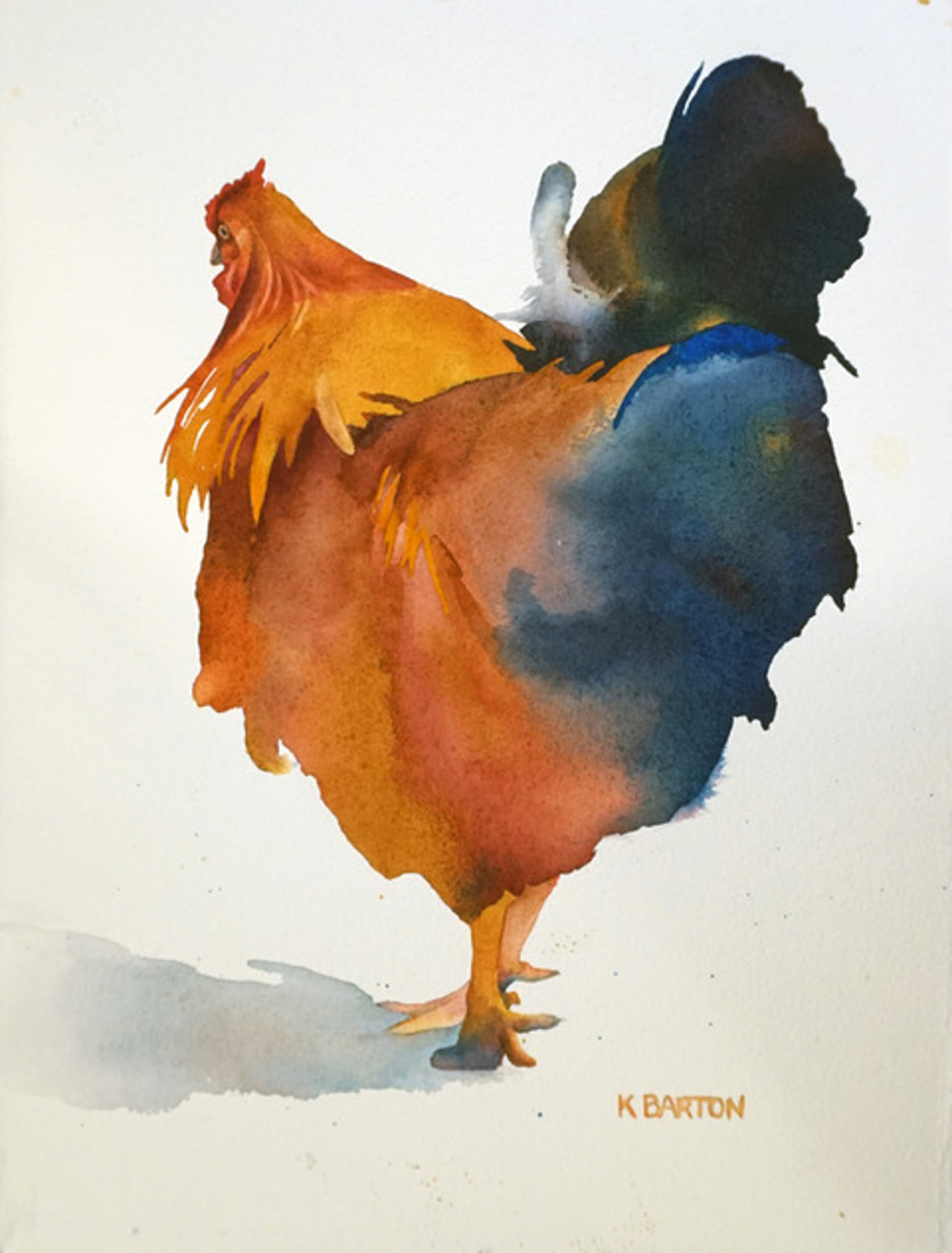 Rooster ("RooPaul") by Kirsten Barton