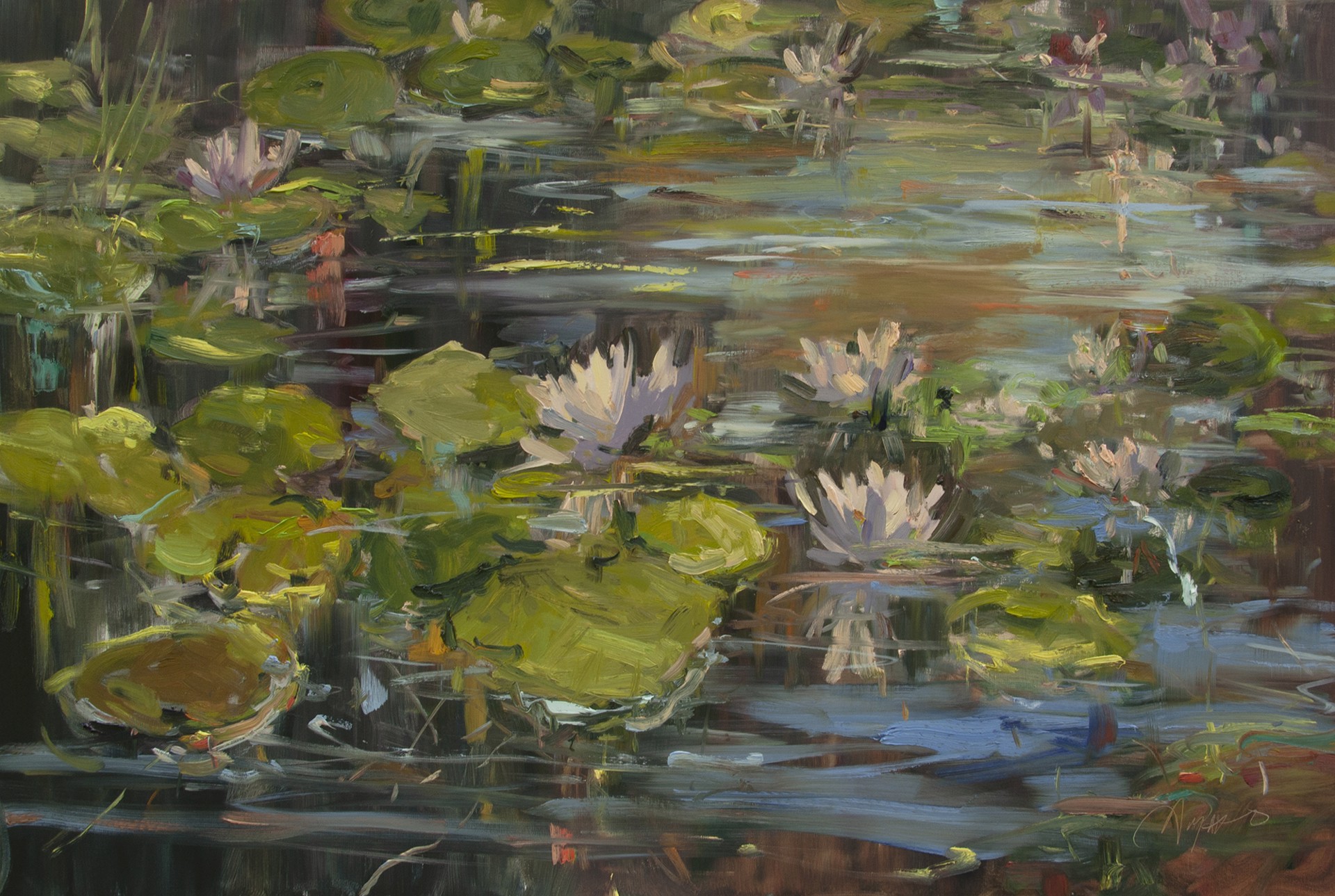 Waterlilies in the Summer Sun by Stephanie Amato