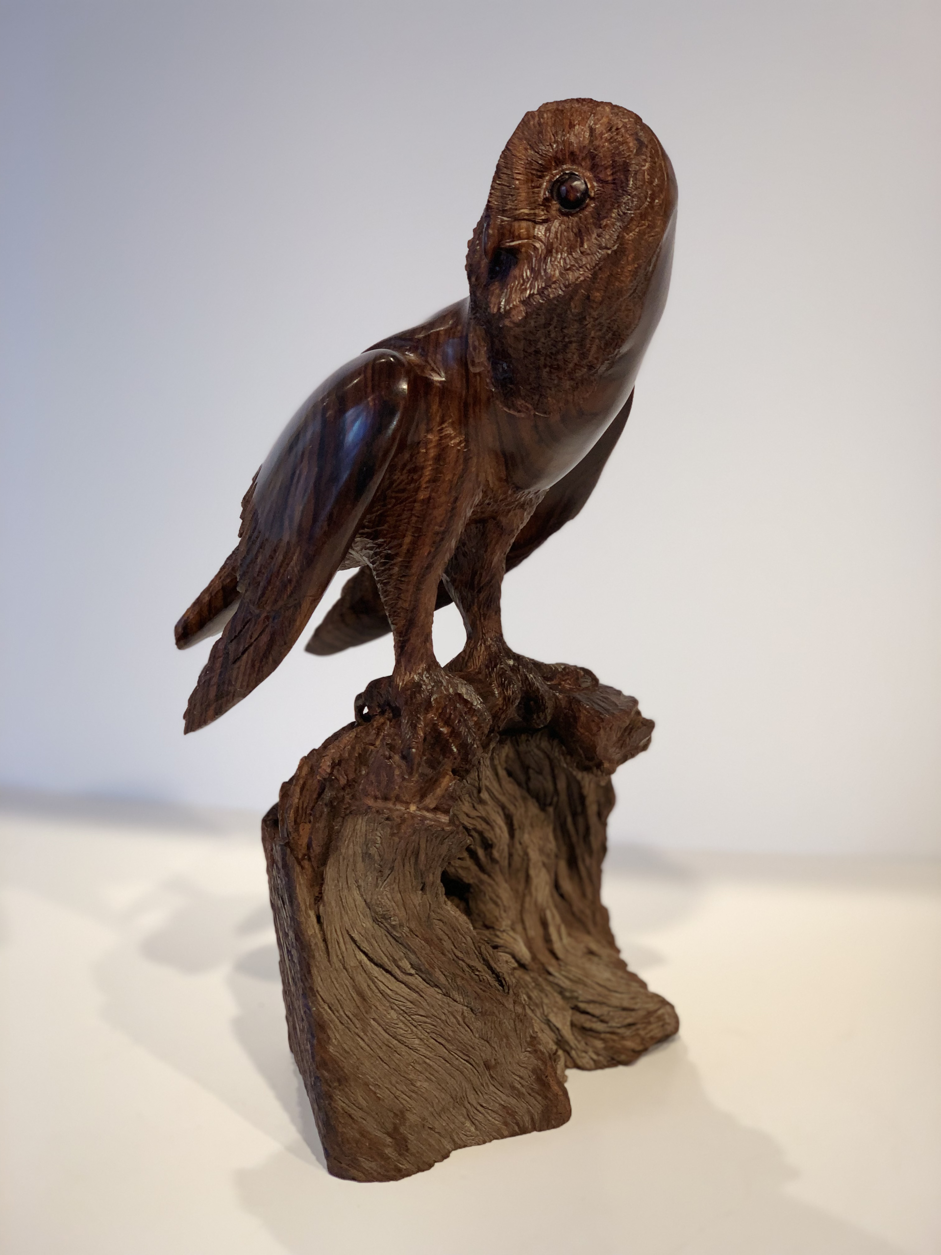 Barn Owl by Thomas Suby