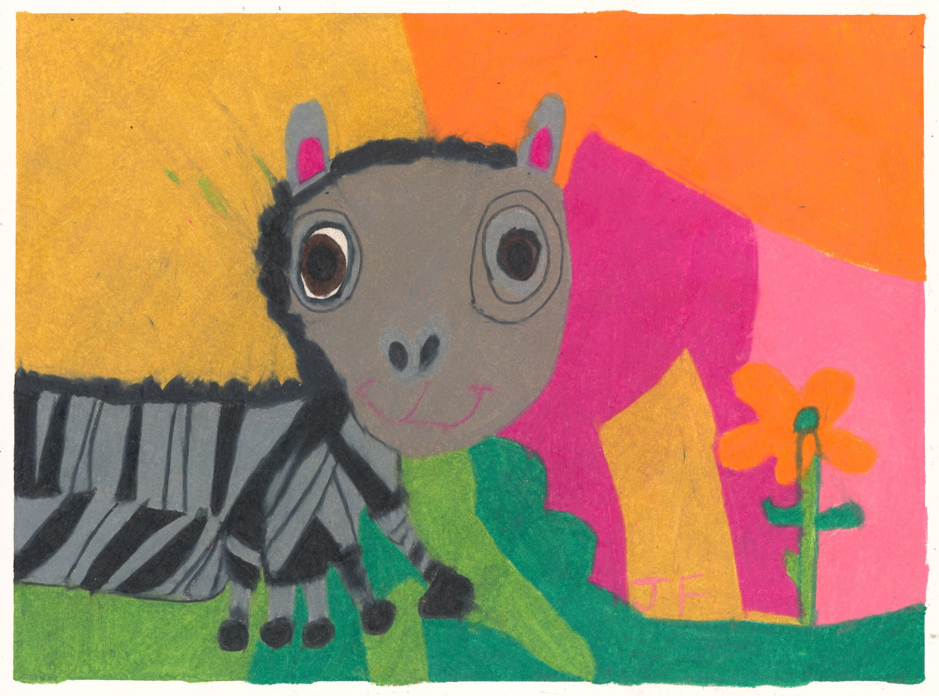 Zebra by Josephine Finnell