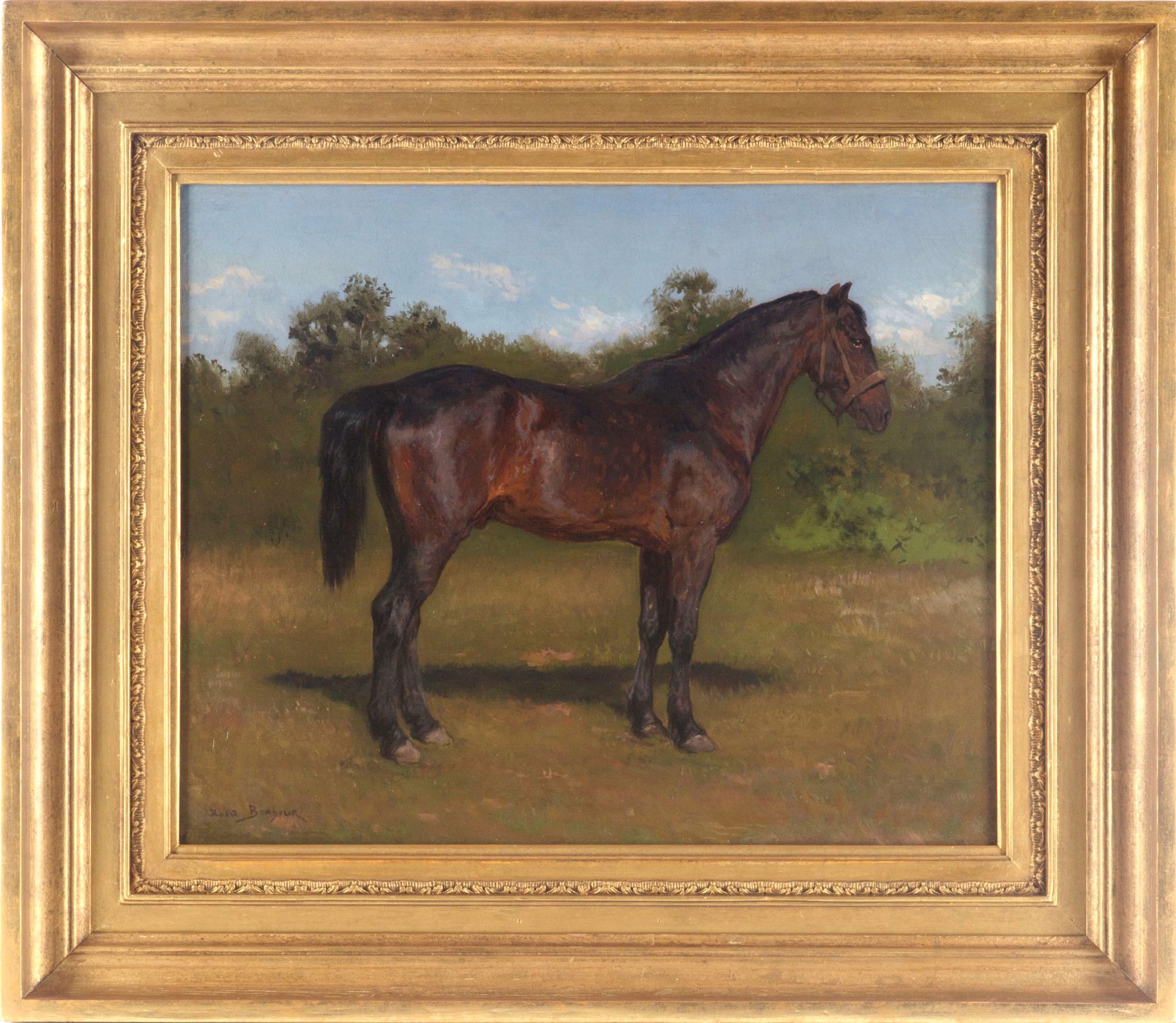Portrait of a Dark Brown Horse by Rosa Bonheur