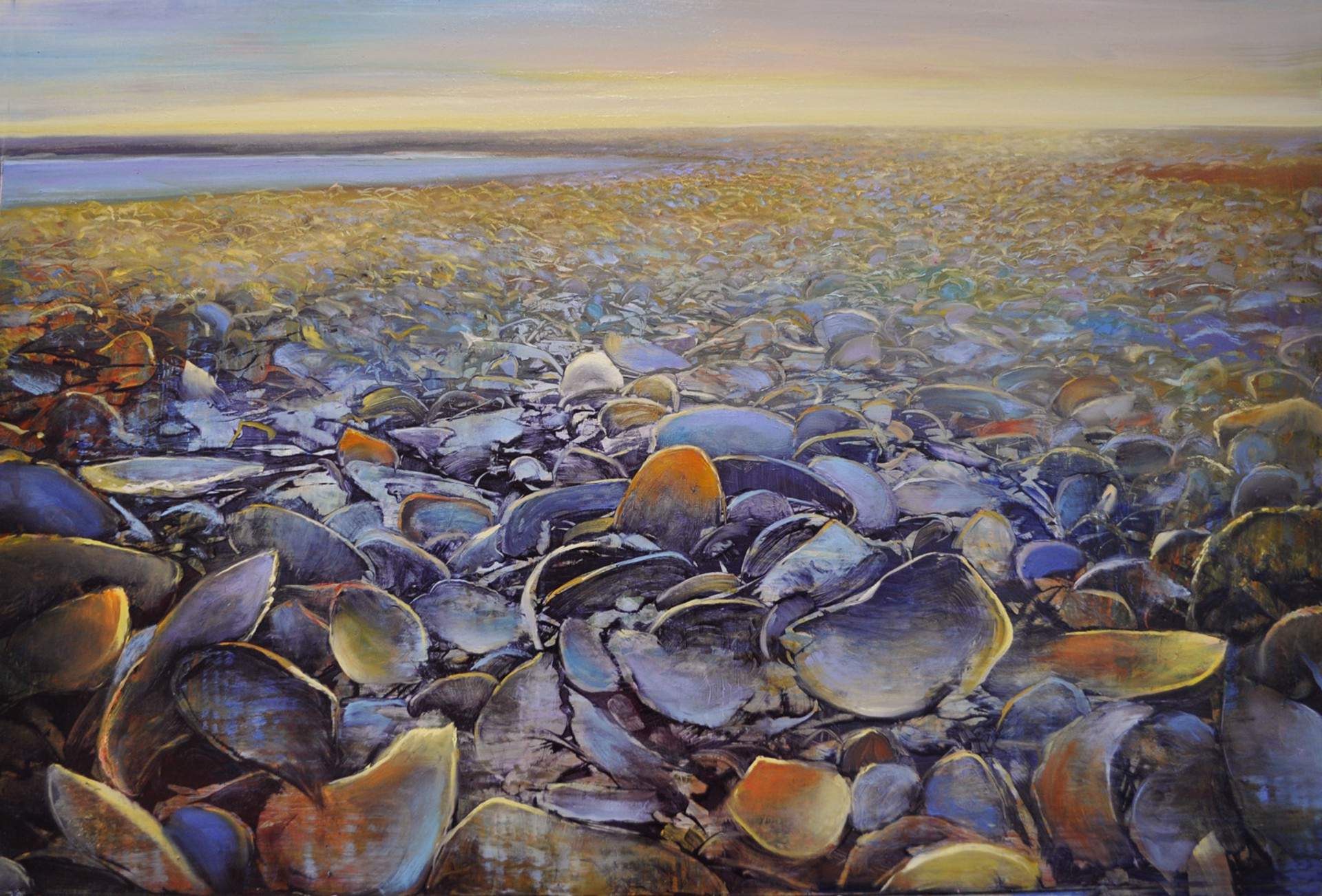 Seashell Samba by David Dunlop