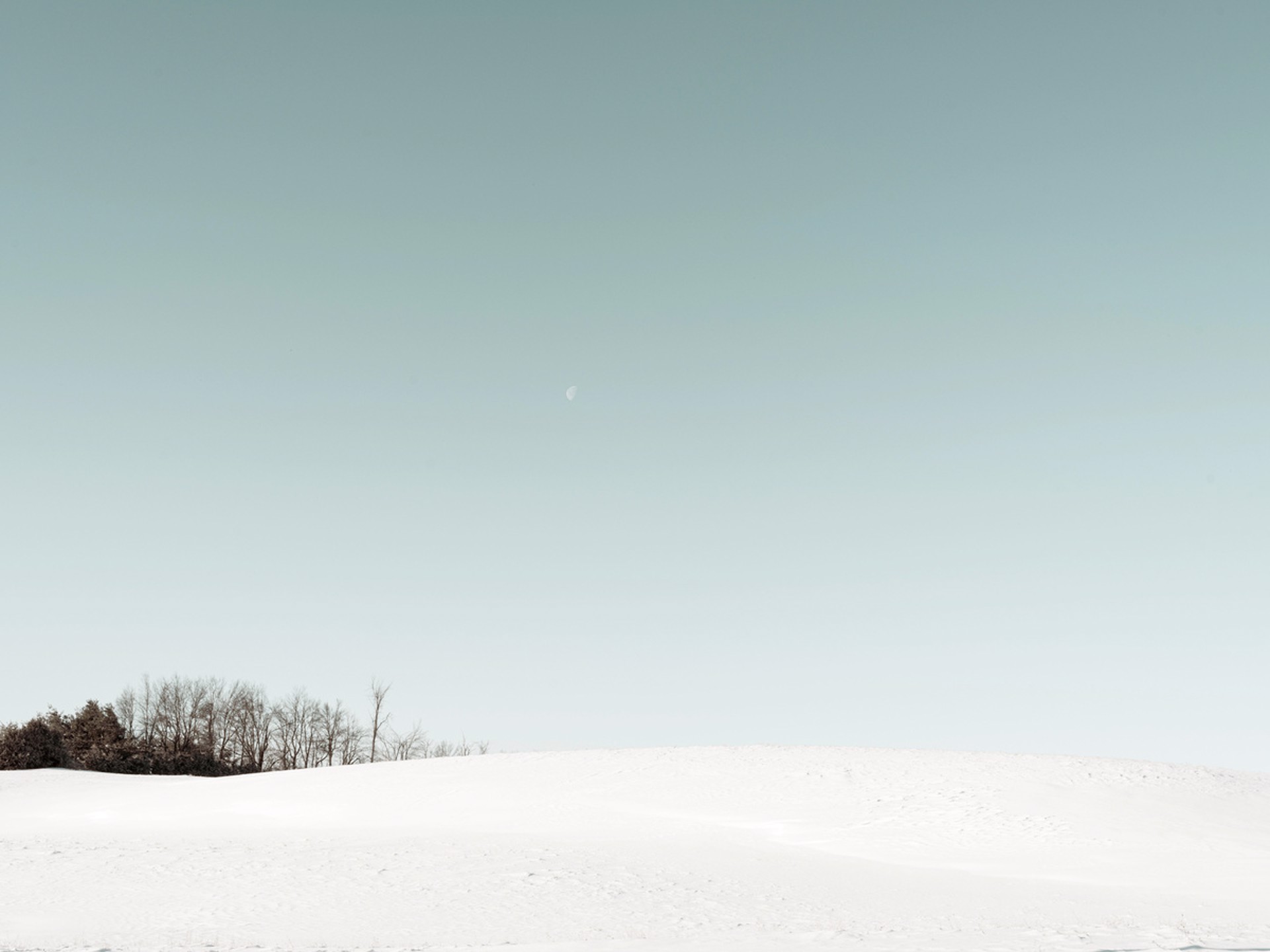 Scenes of Winter #5 by Peter McLennan