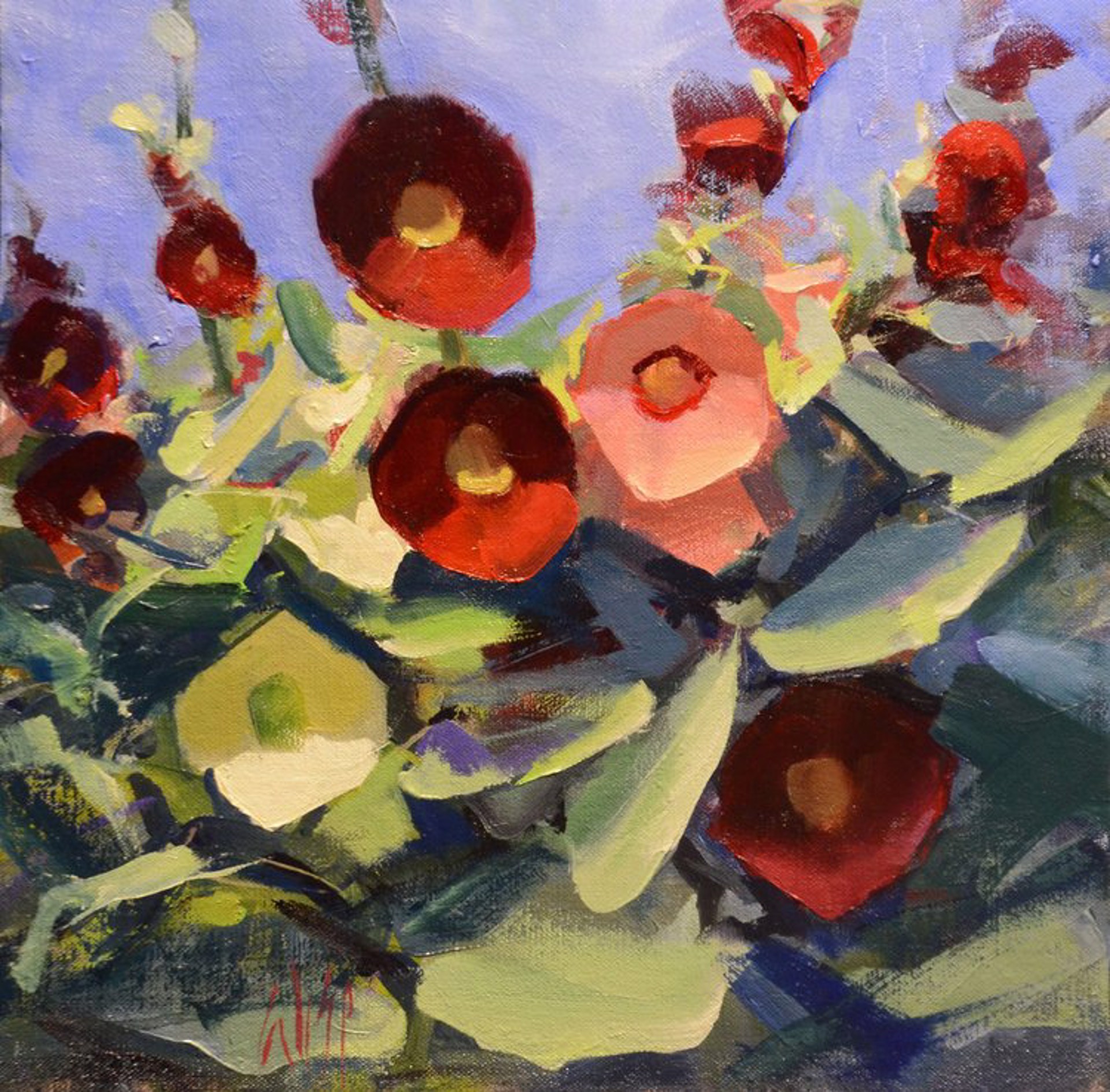 Taos Hollyhocks by Mike Wise