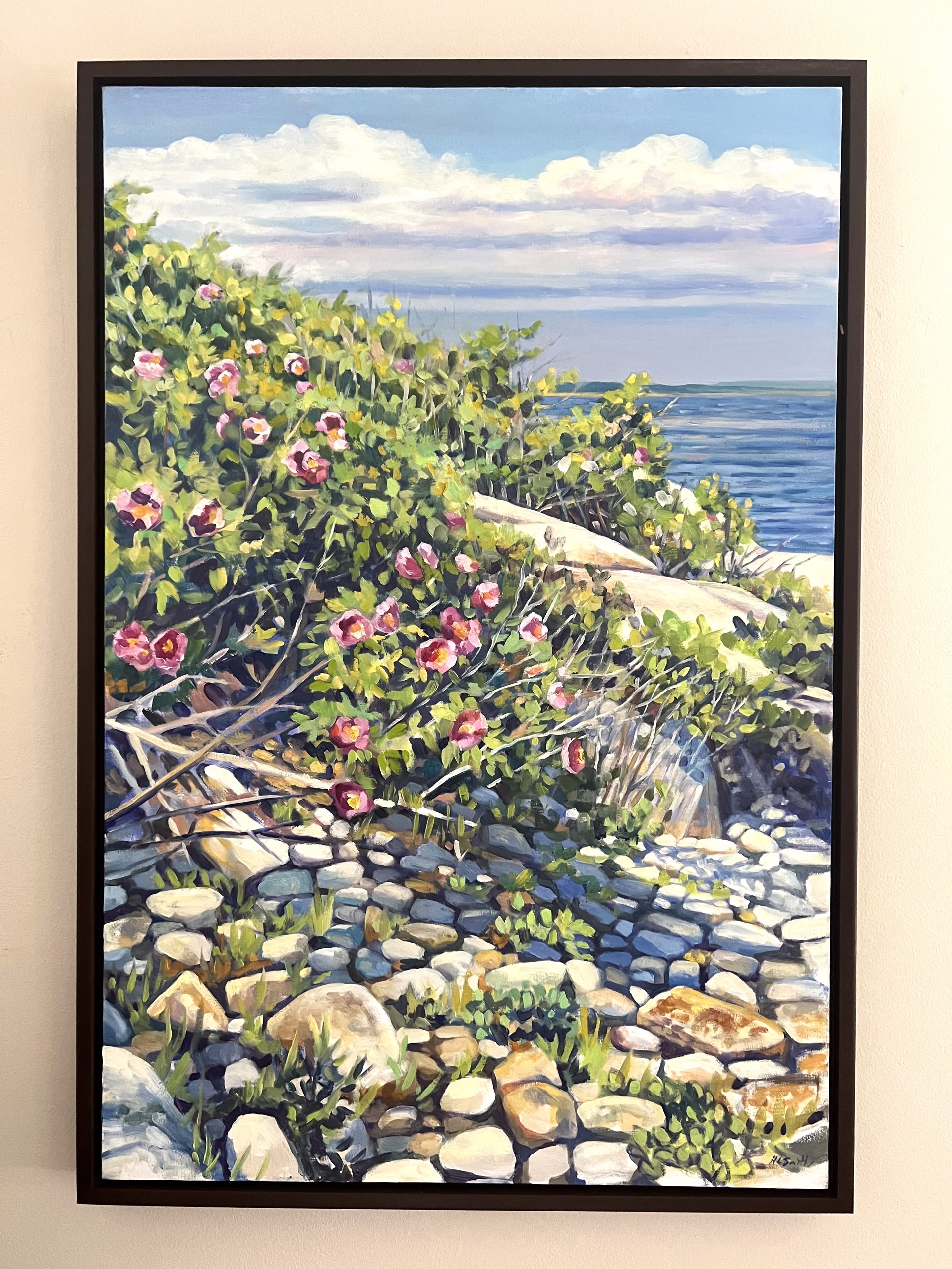 Rugosa Roses at Schoodic by Holly L. Smith