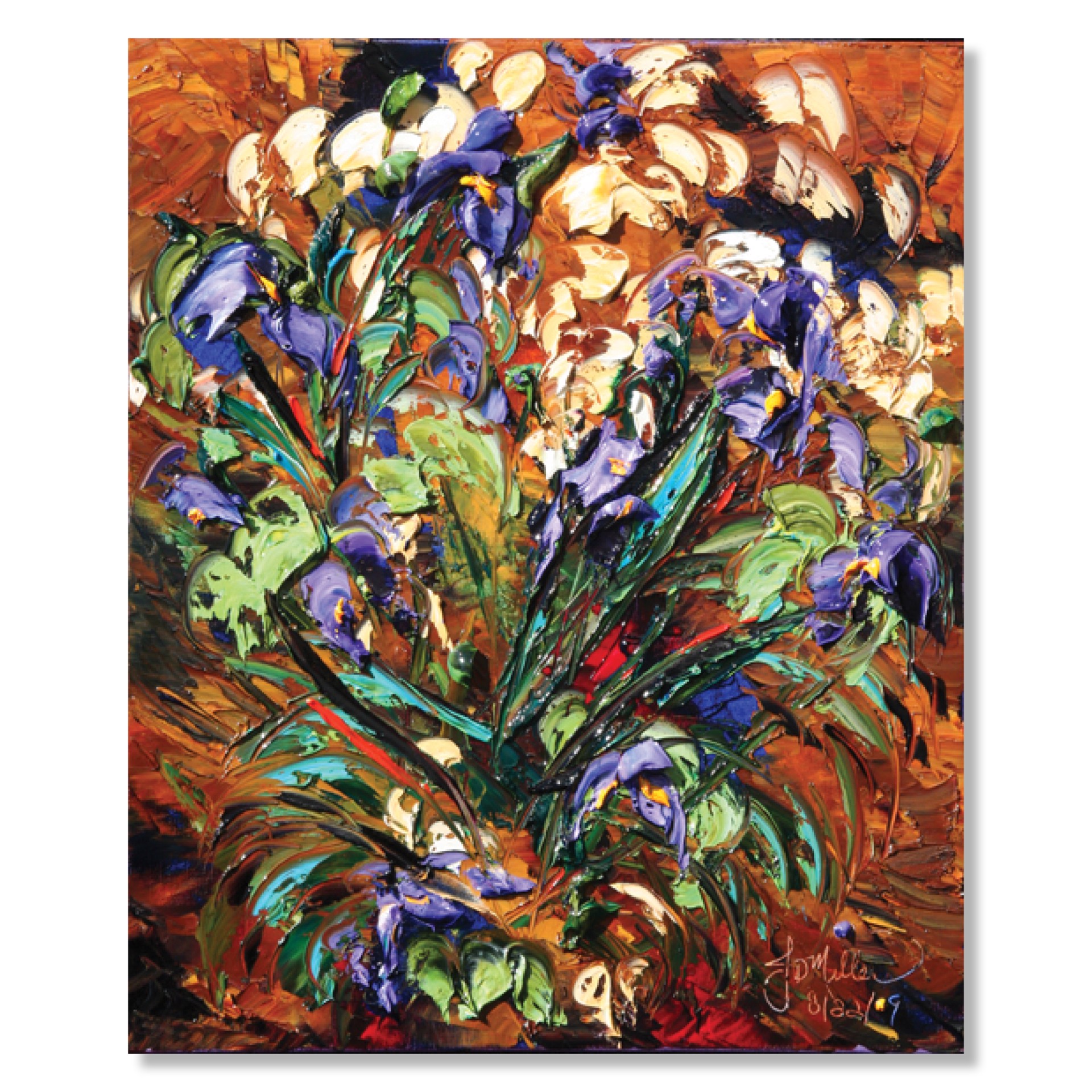 Austin Irises Live by JD Miller