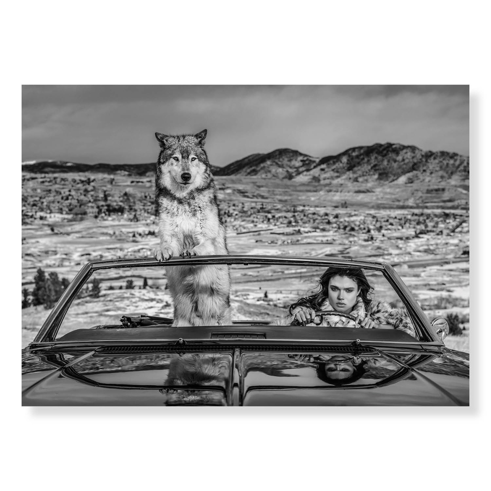 The Richest Hill In The World by David Yarrow